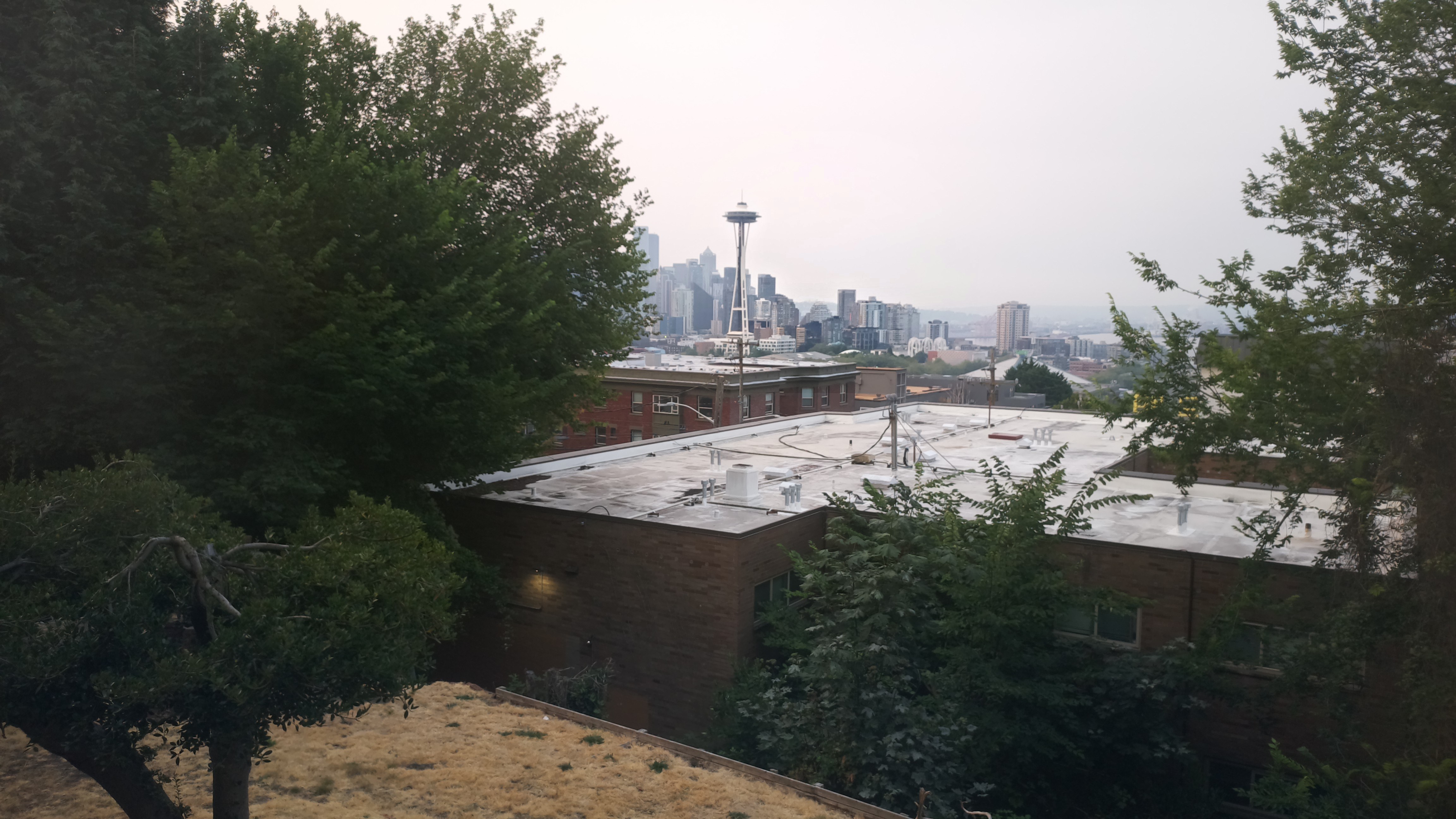 Mt. Rainier from Seattle — Tuesday, August 4