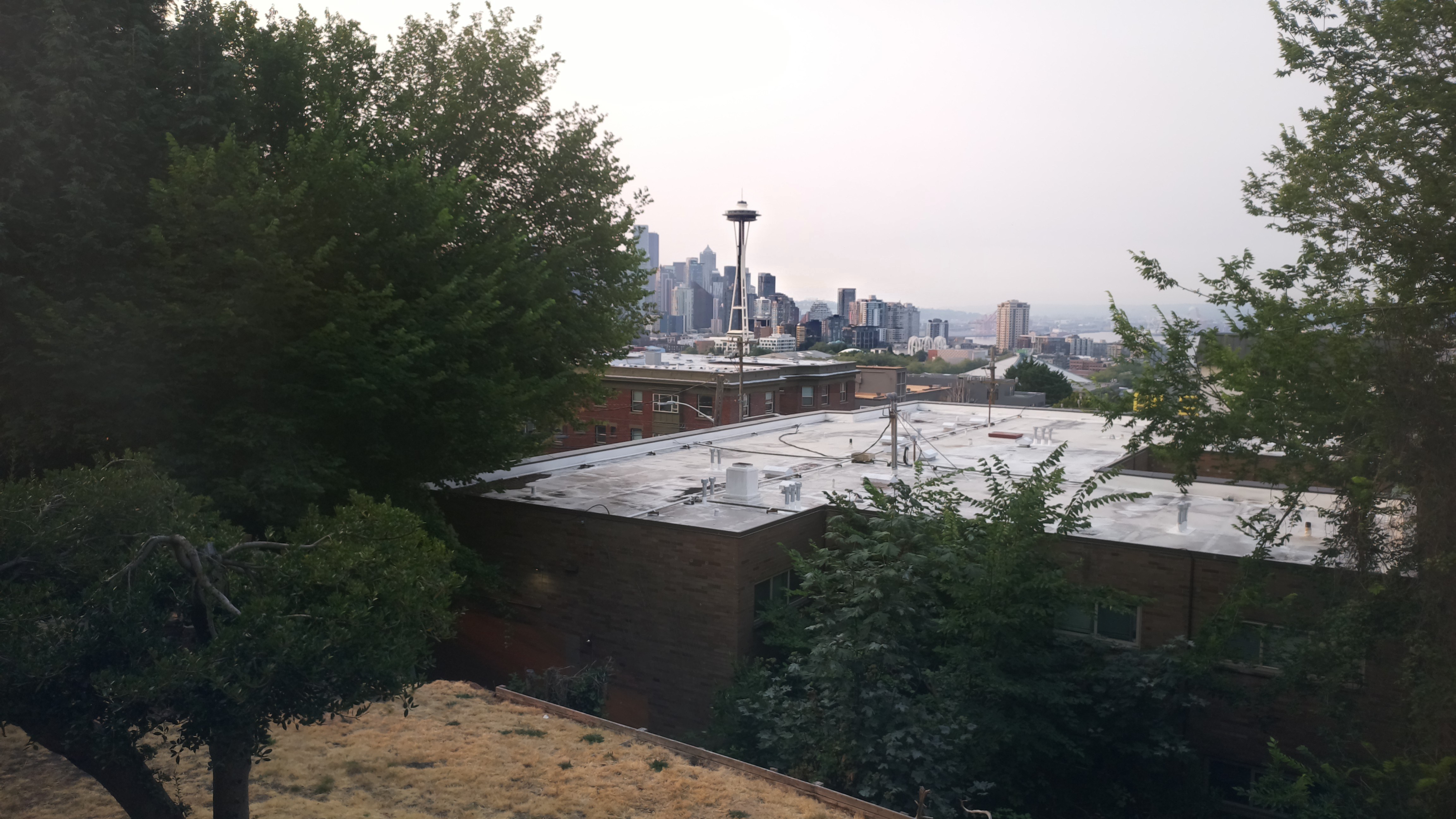Mt. Rainier from Seattle — Tuesday, August 4