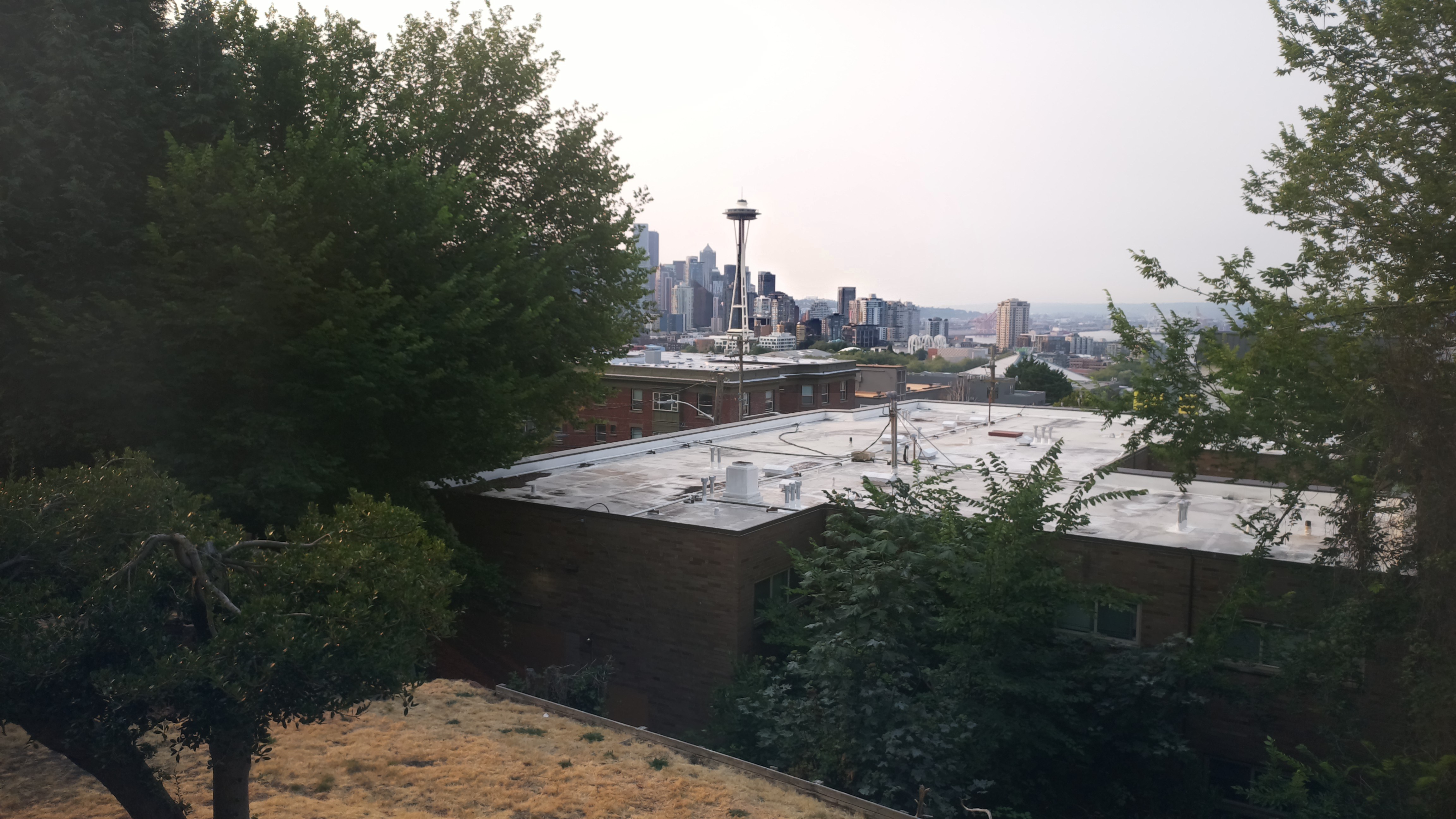 Mt. Rainier from Seattle — Tuesday, August 4