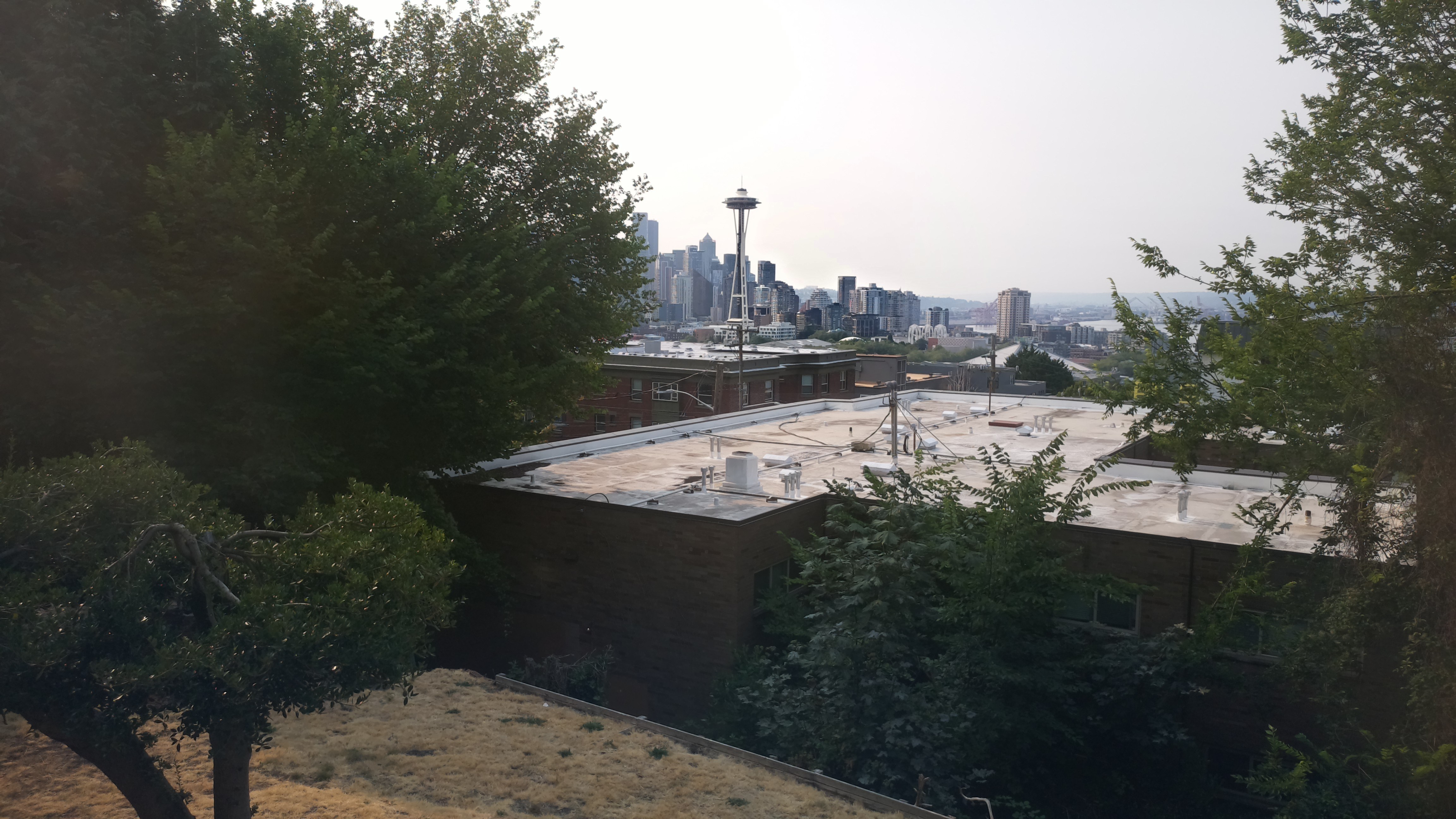 Mt. Rainier from Seattle — Tuesday, August 4