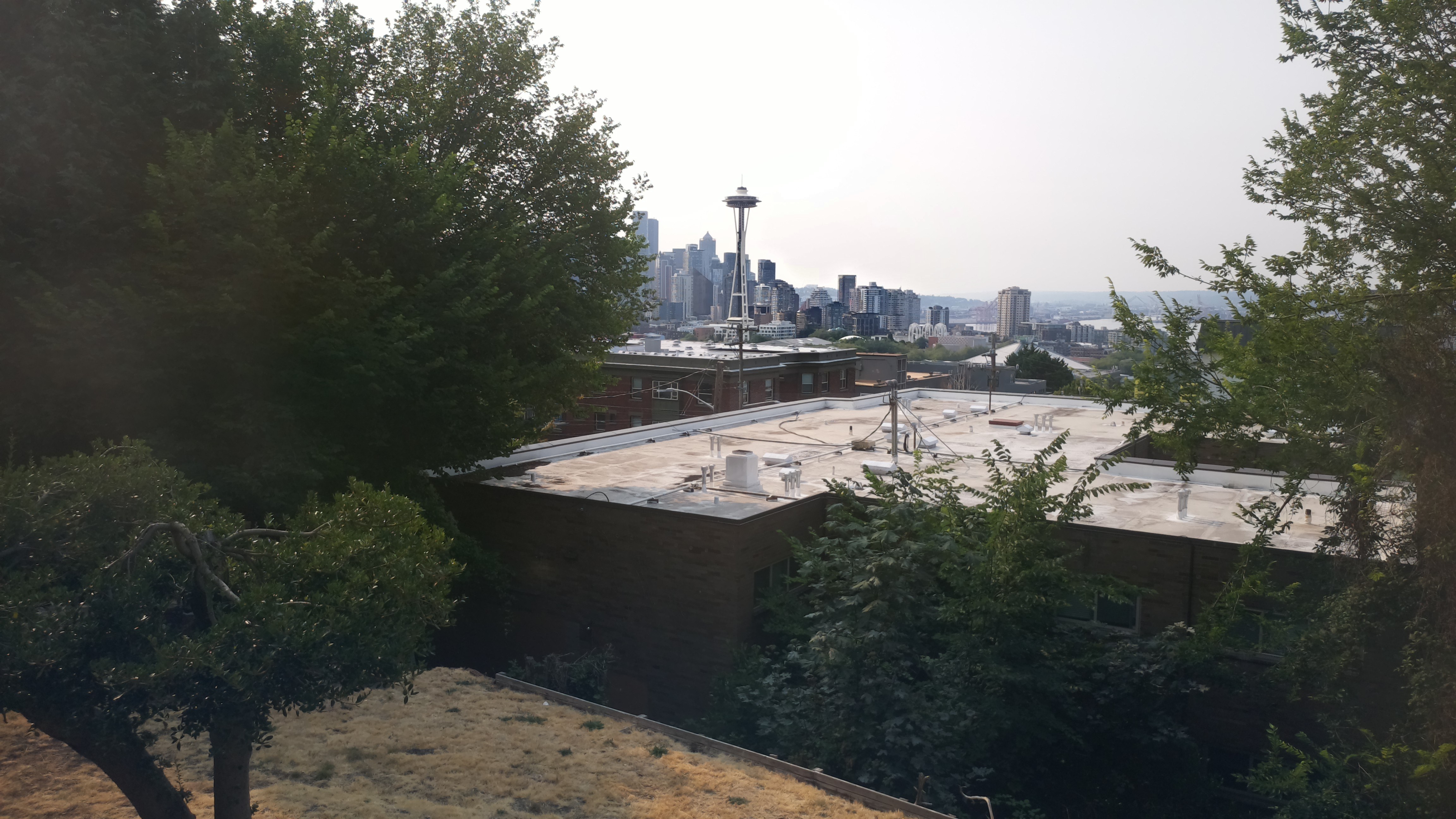 Mt. Rainier from Seattle — Tuesday, August 4