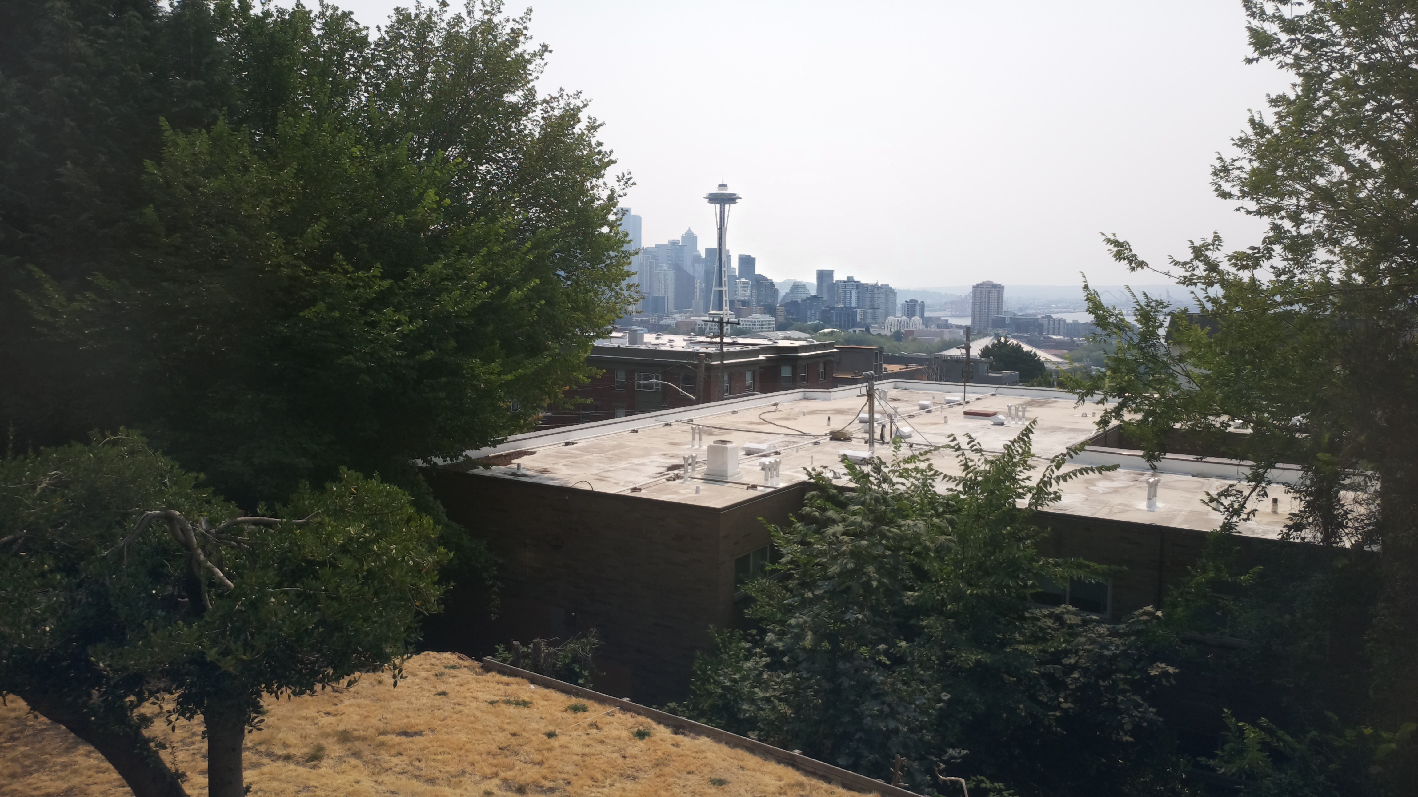 Mt. Rainier from Seattle — Tuesday, August 4