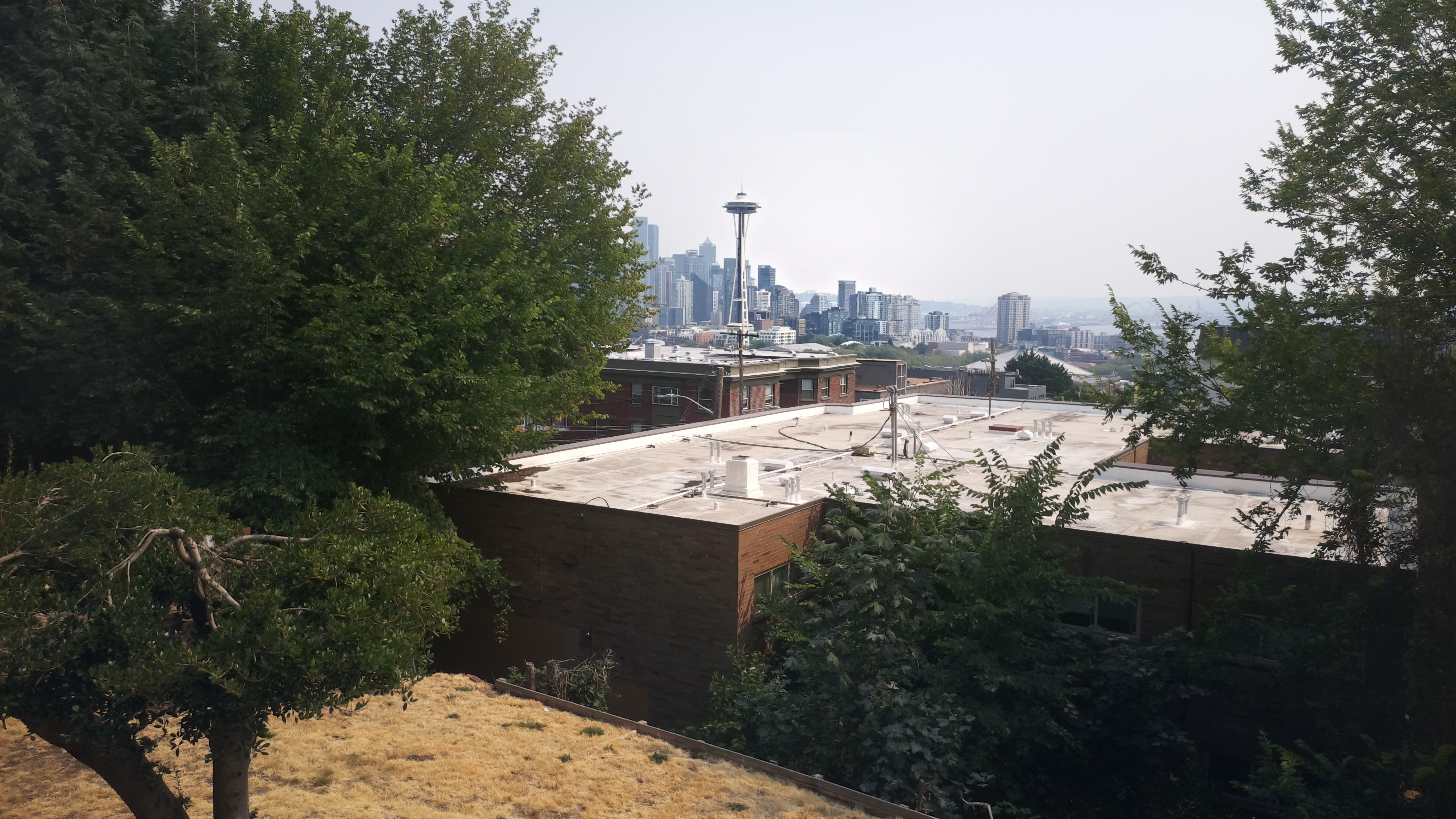 Mt. Rainier from Seattle — Tuesday, August 4