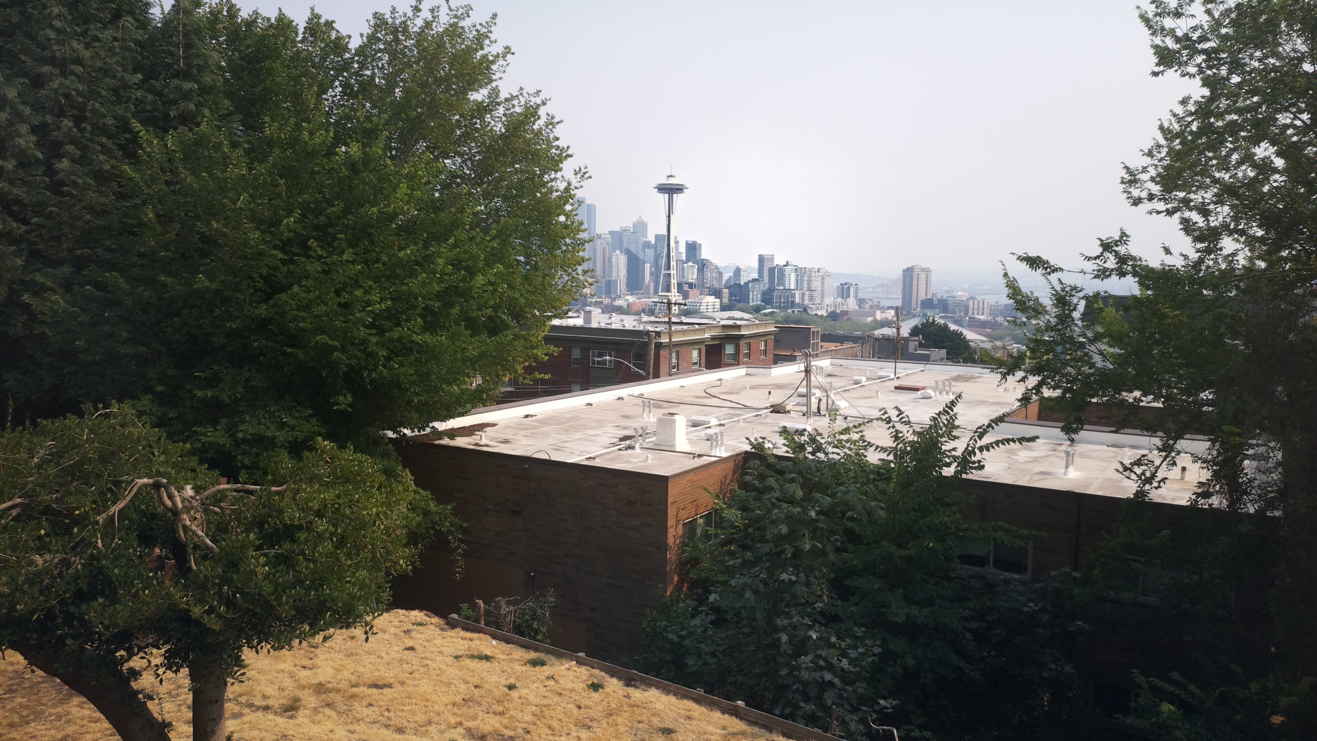 Mt. Rainier from Seattle — Tuesday, August 4