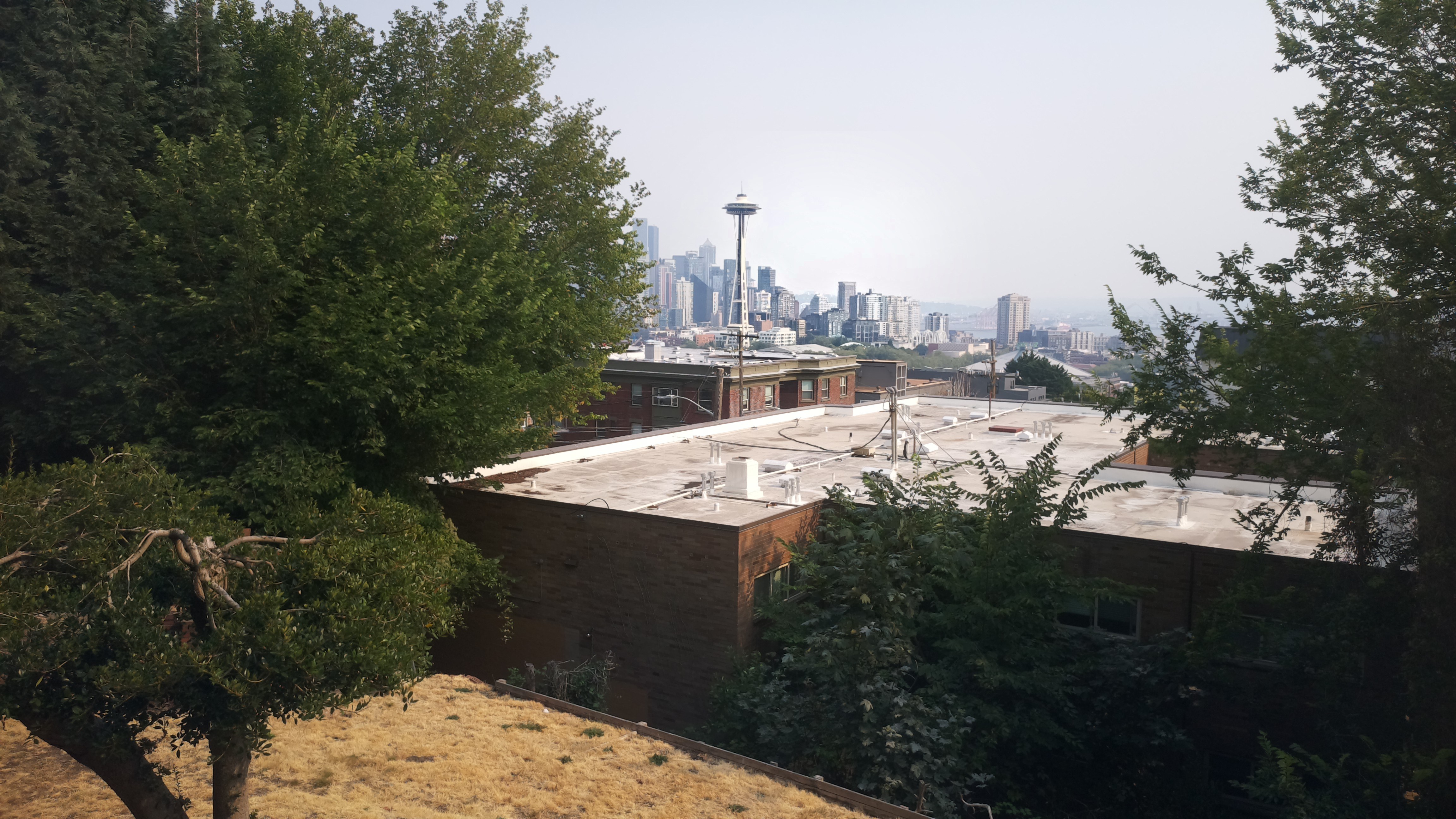 Mt. Rainier from Seattle — Tuesday, August 4
