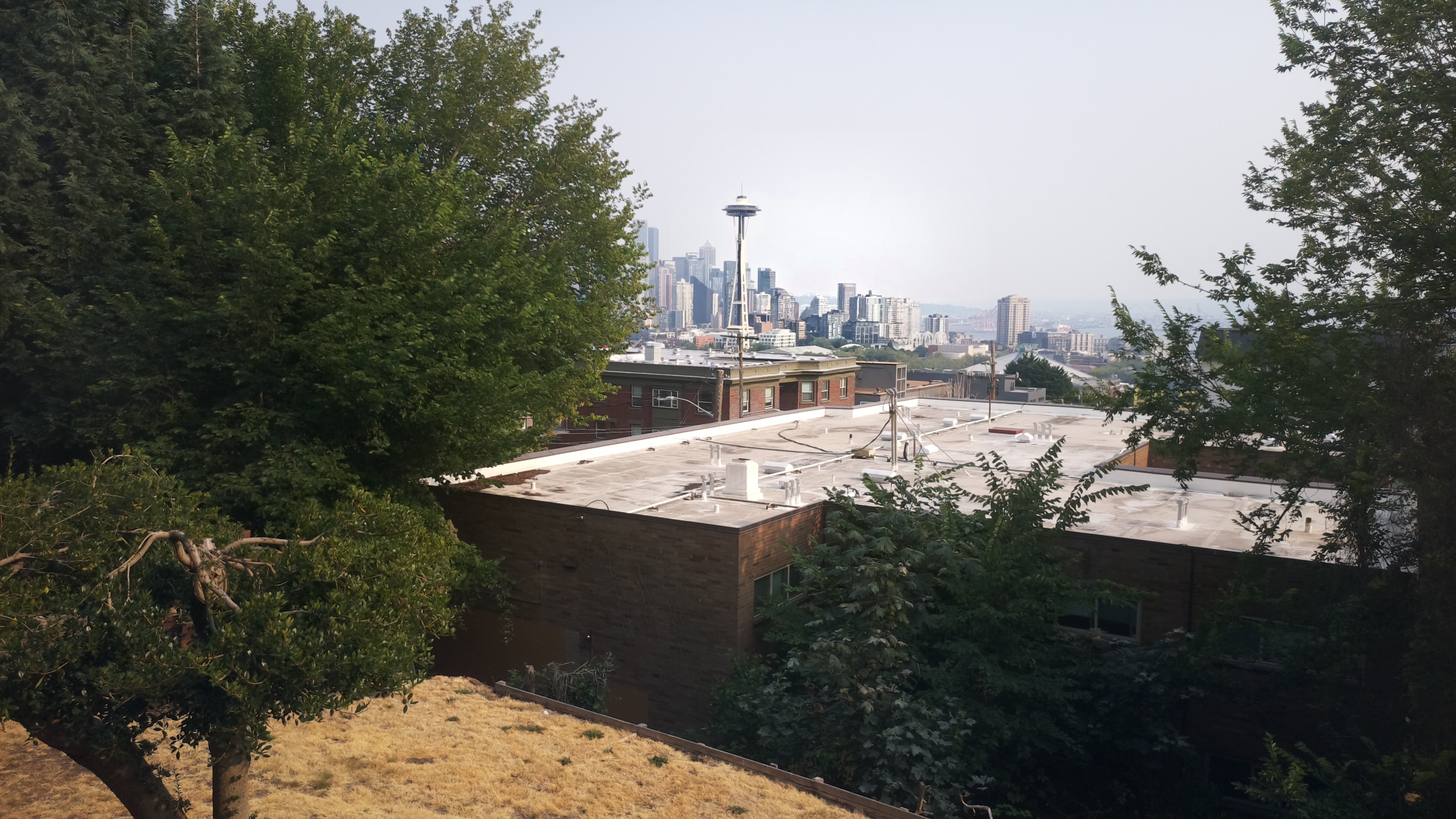 Mt. Rainier from Seattle — Tuesday, August 4