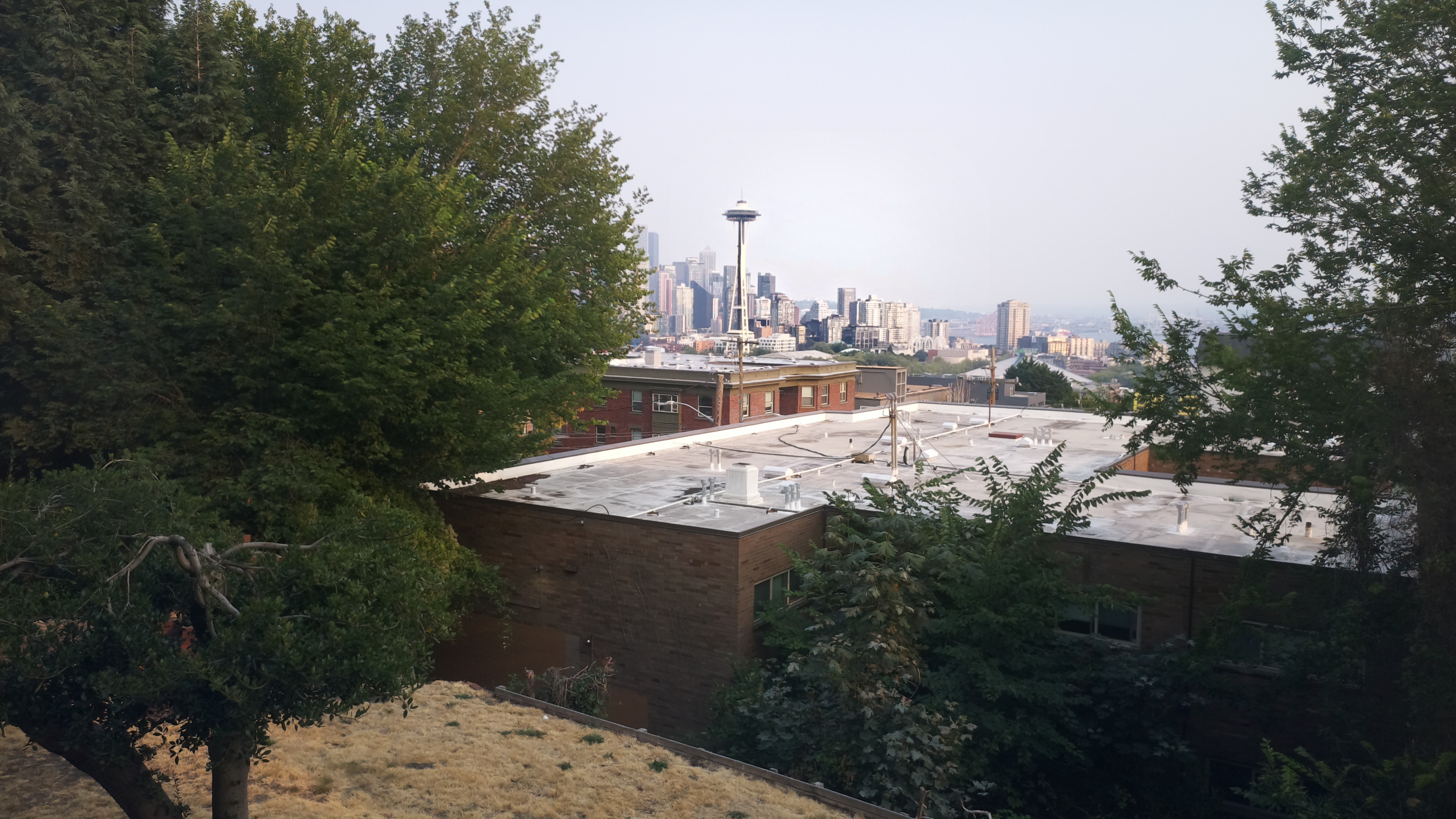 Mt. Rainier from Seattle — Tuesday, August 4