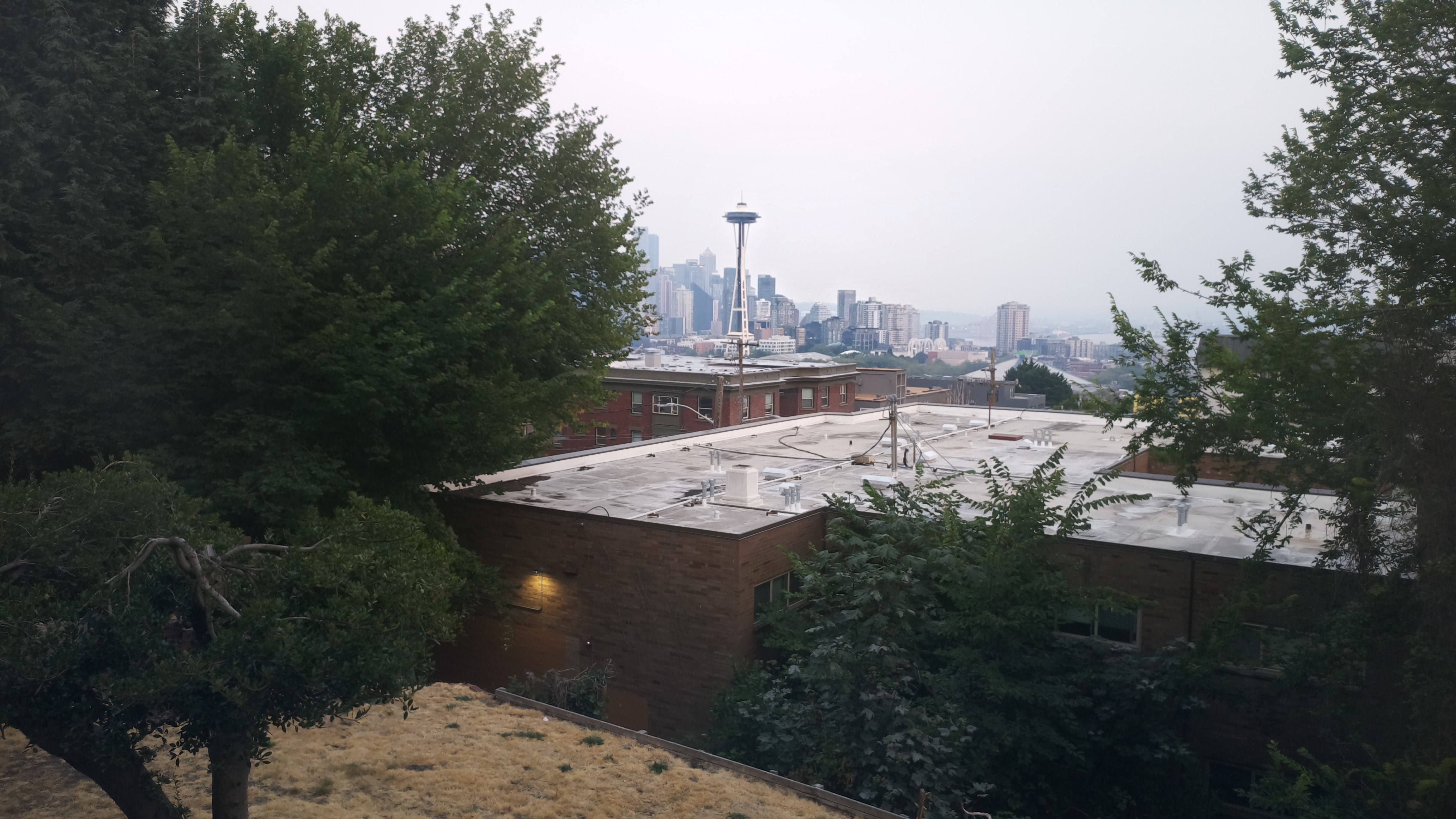 Mt. Rainier from Seattle — Tuesday, August 4