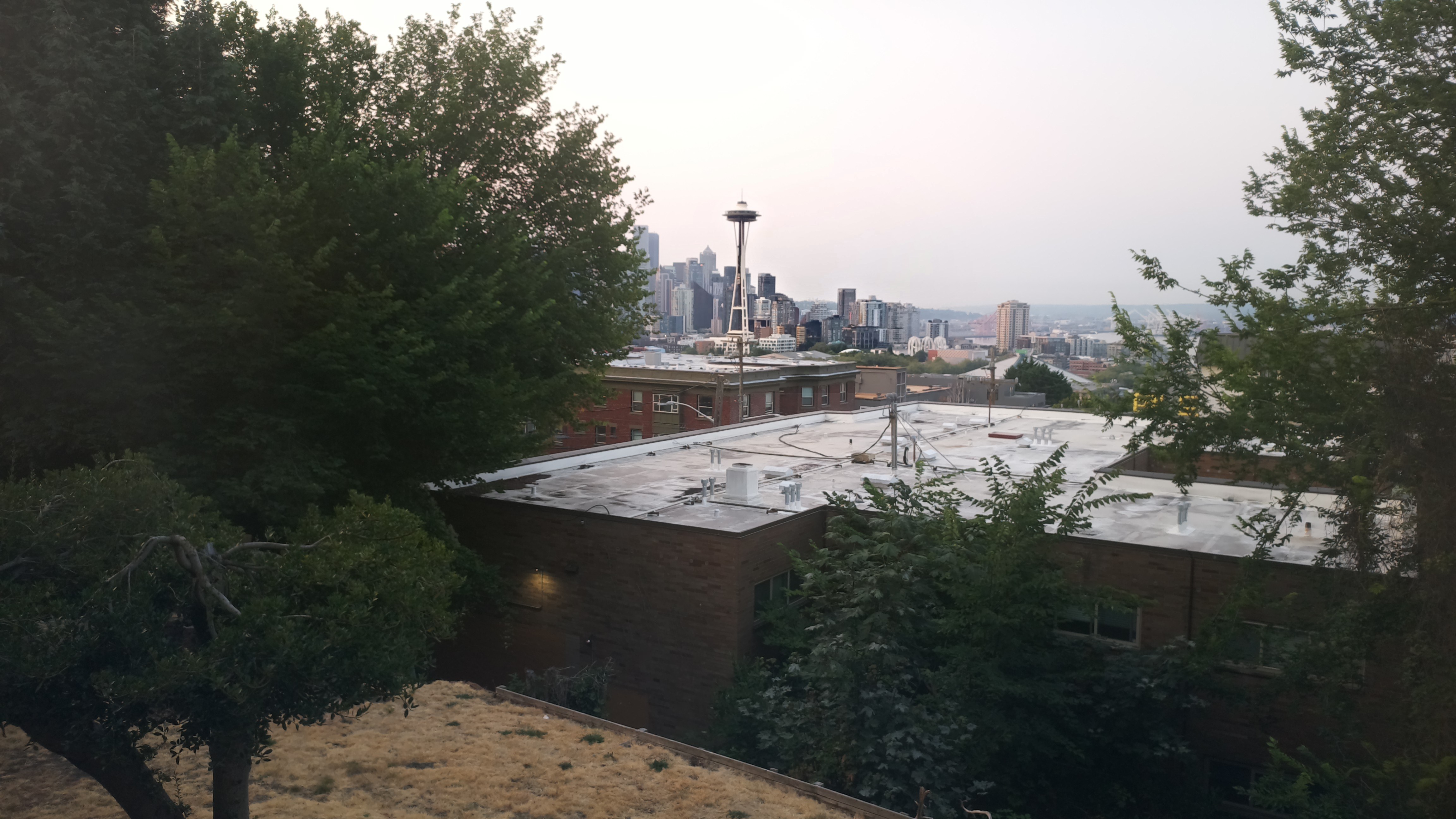 Mt. Rainier from Seattle — Wednesday, August 5