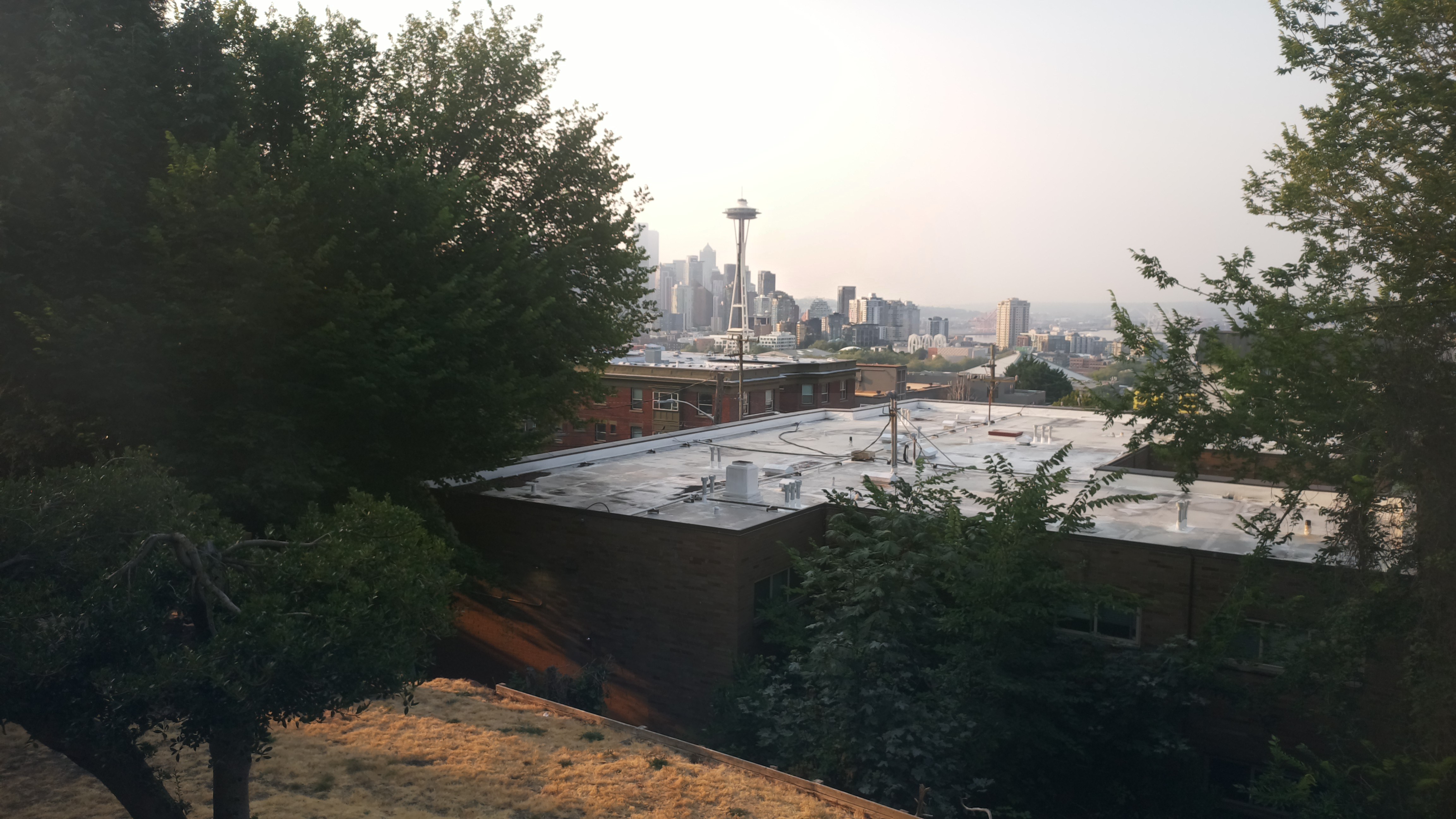Mt. Rainier from Seattle — Wednesday, August 5