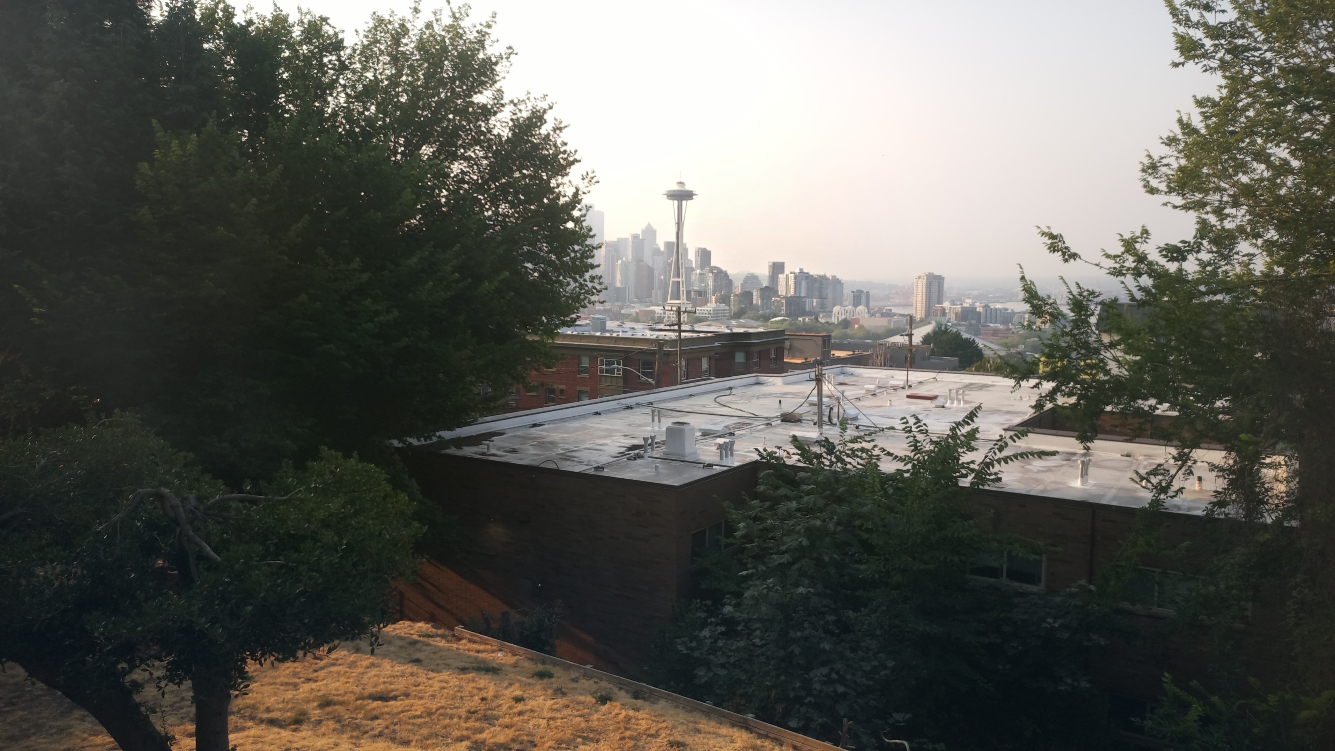 Mt. Rainier from Seattle — Wednesday, August 5