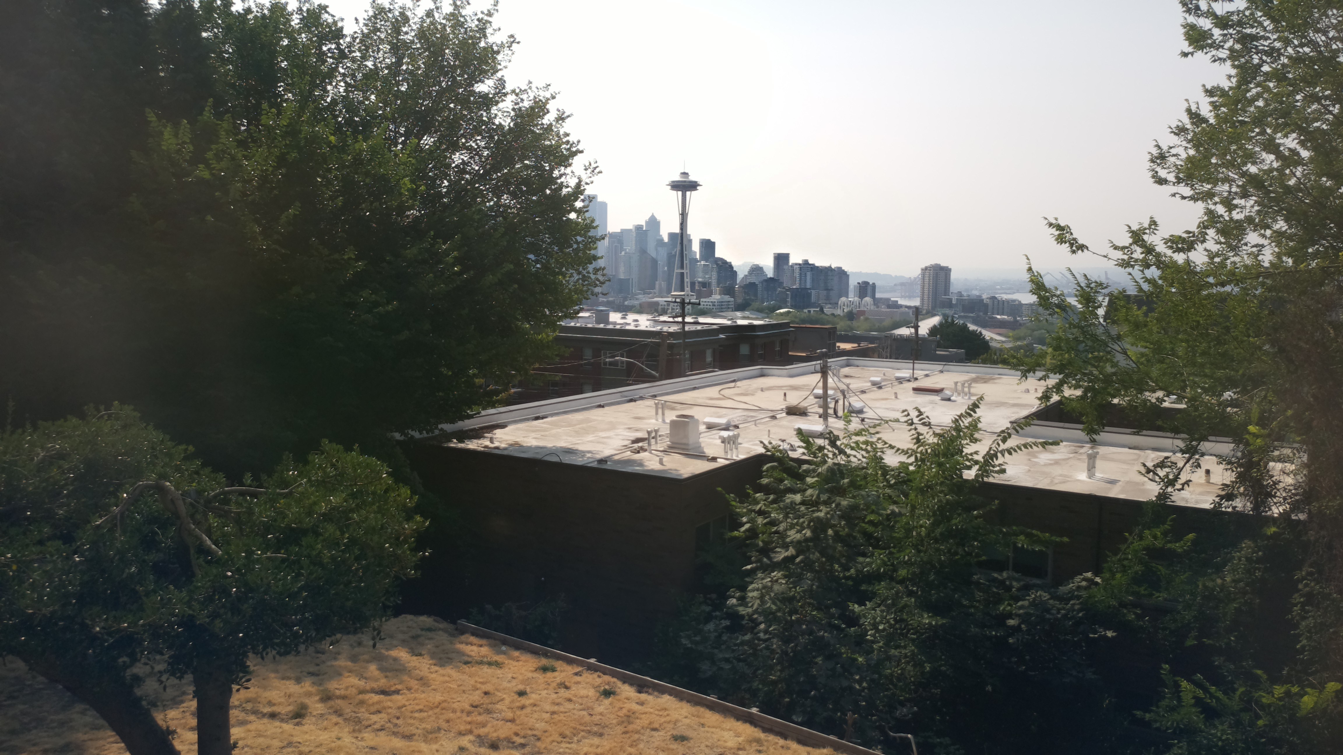 Mt. Rainier from Seattle — Wednesday, August 5