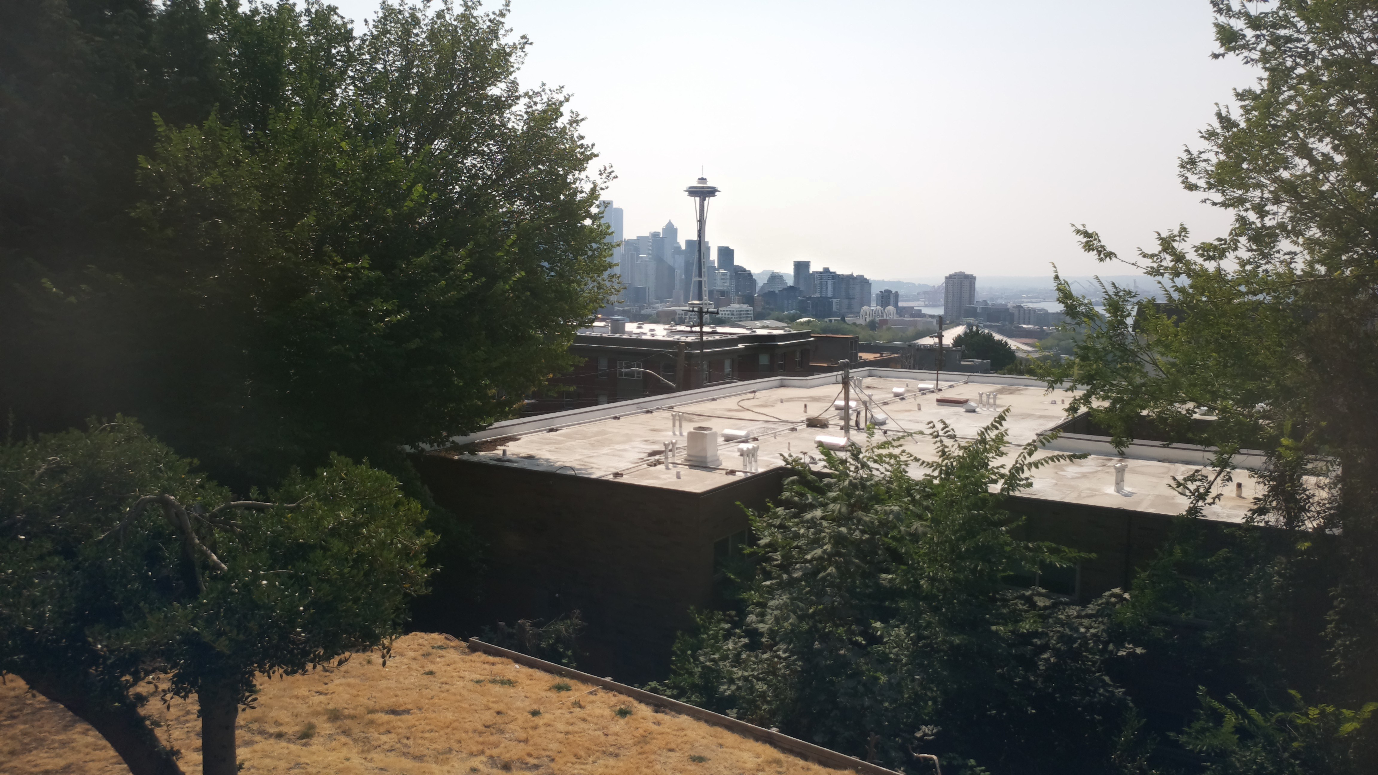 Mt. Rainier from Seattle — Wednesday, August 5