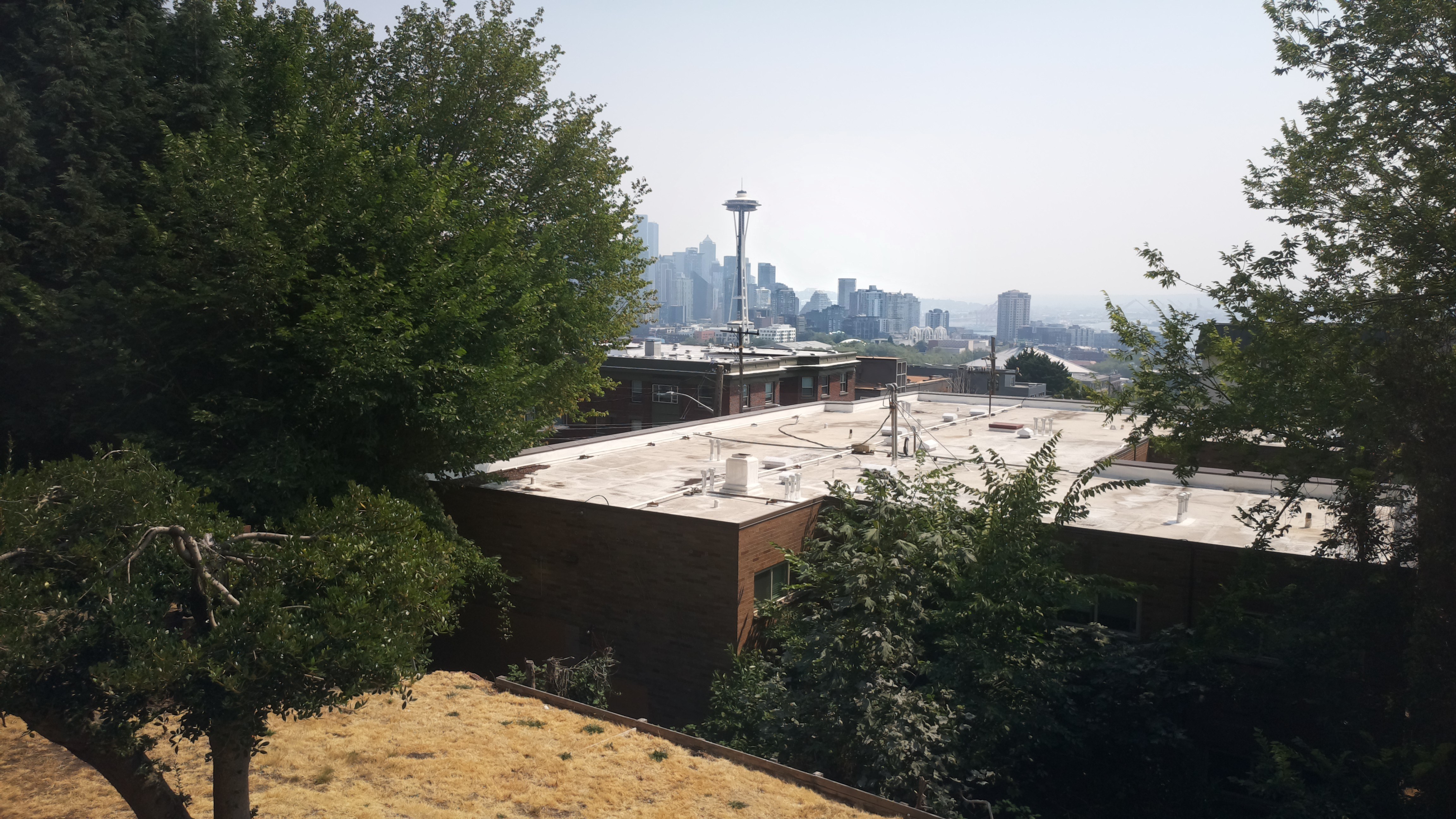Mt. Rainier from Seattle — Wednesday, August 5