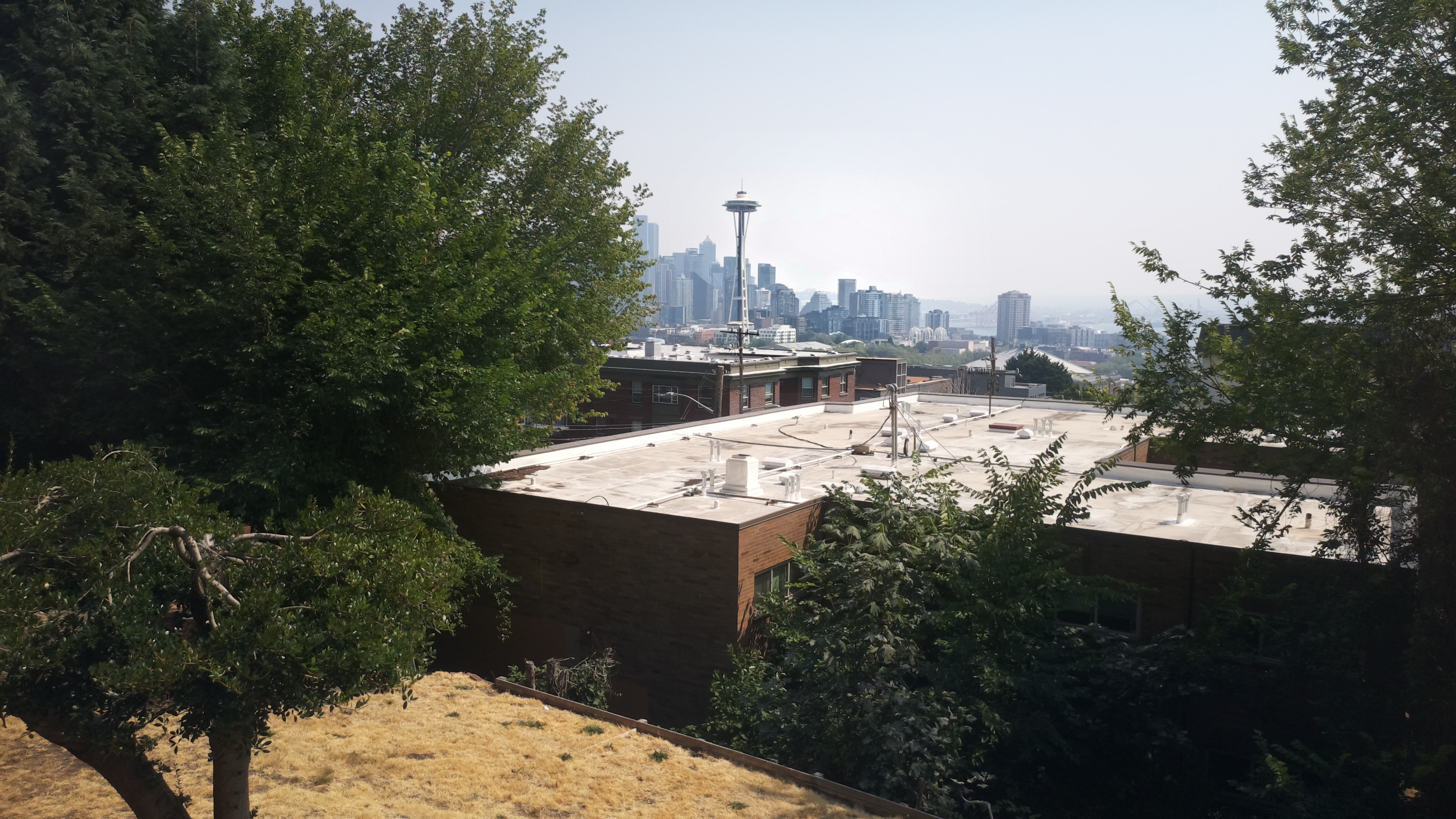 Mt. Rainier from Seattle — Wednesday, August 5