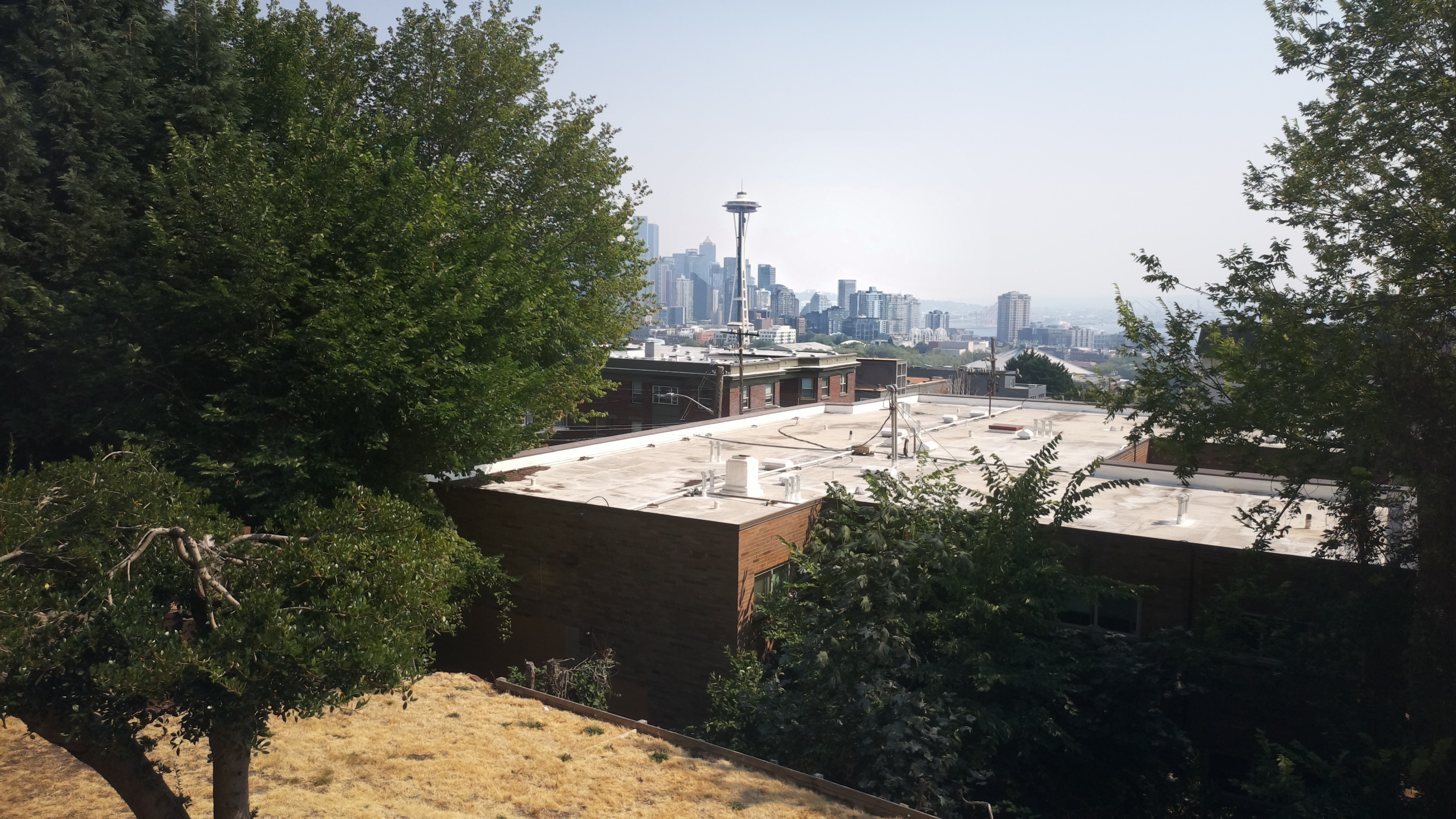 Mt. Rainier from Seattle — Wednesday, August 5