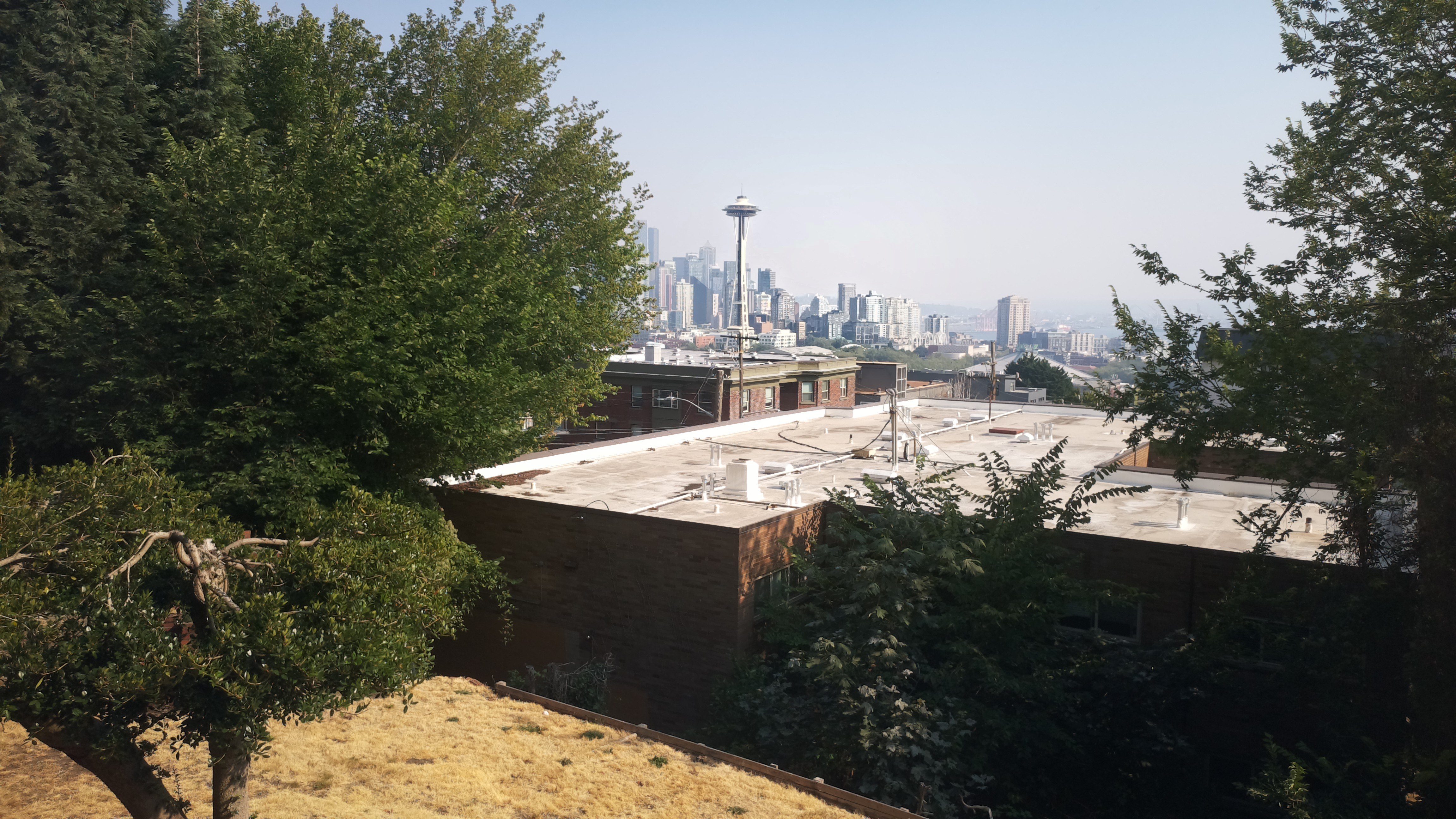 Mt. Rainier from Seattle — Wednesday, August 5