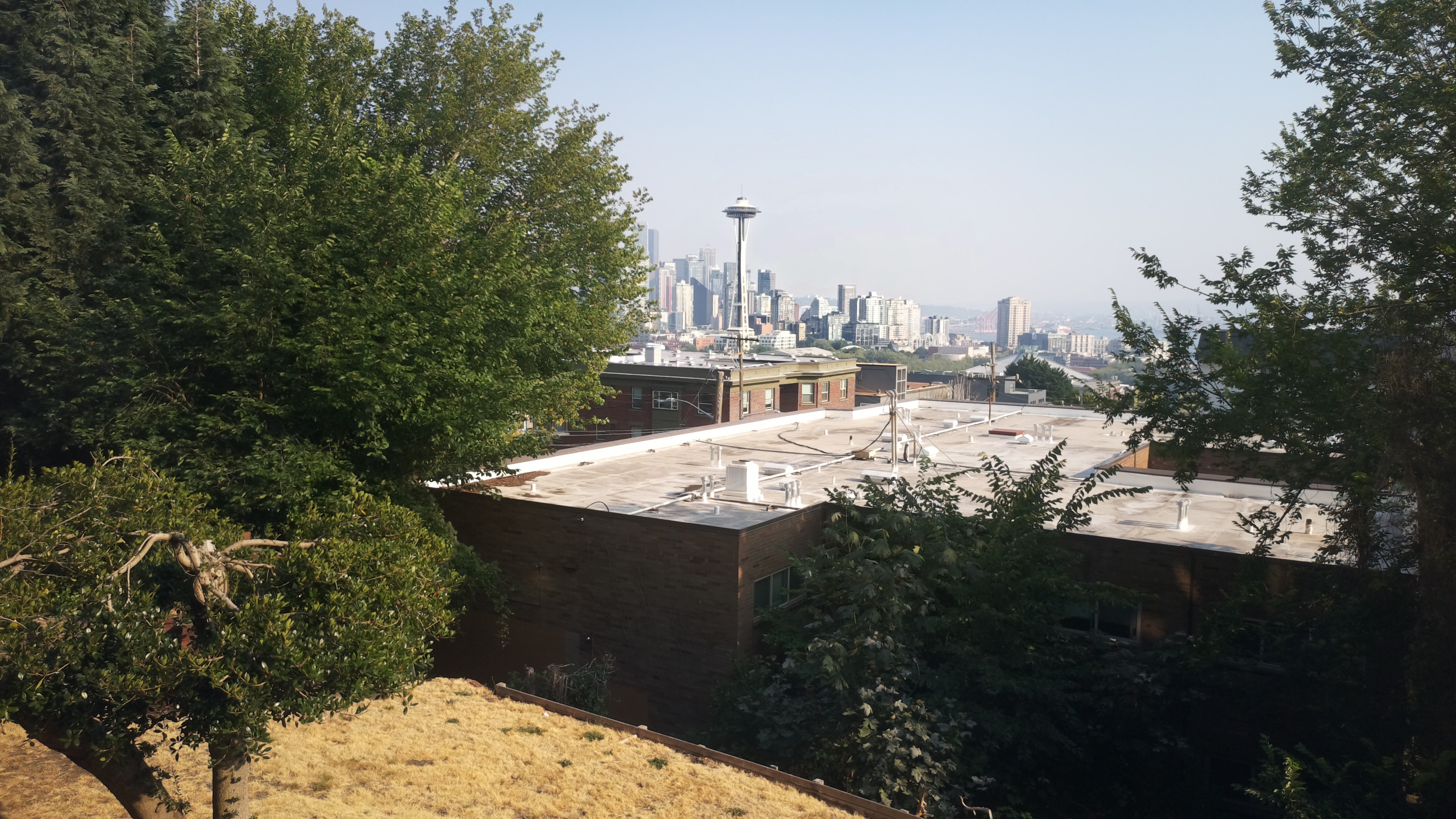 Mt. Rainier from Seattle — Wednesday, August 5