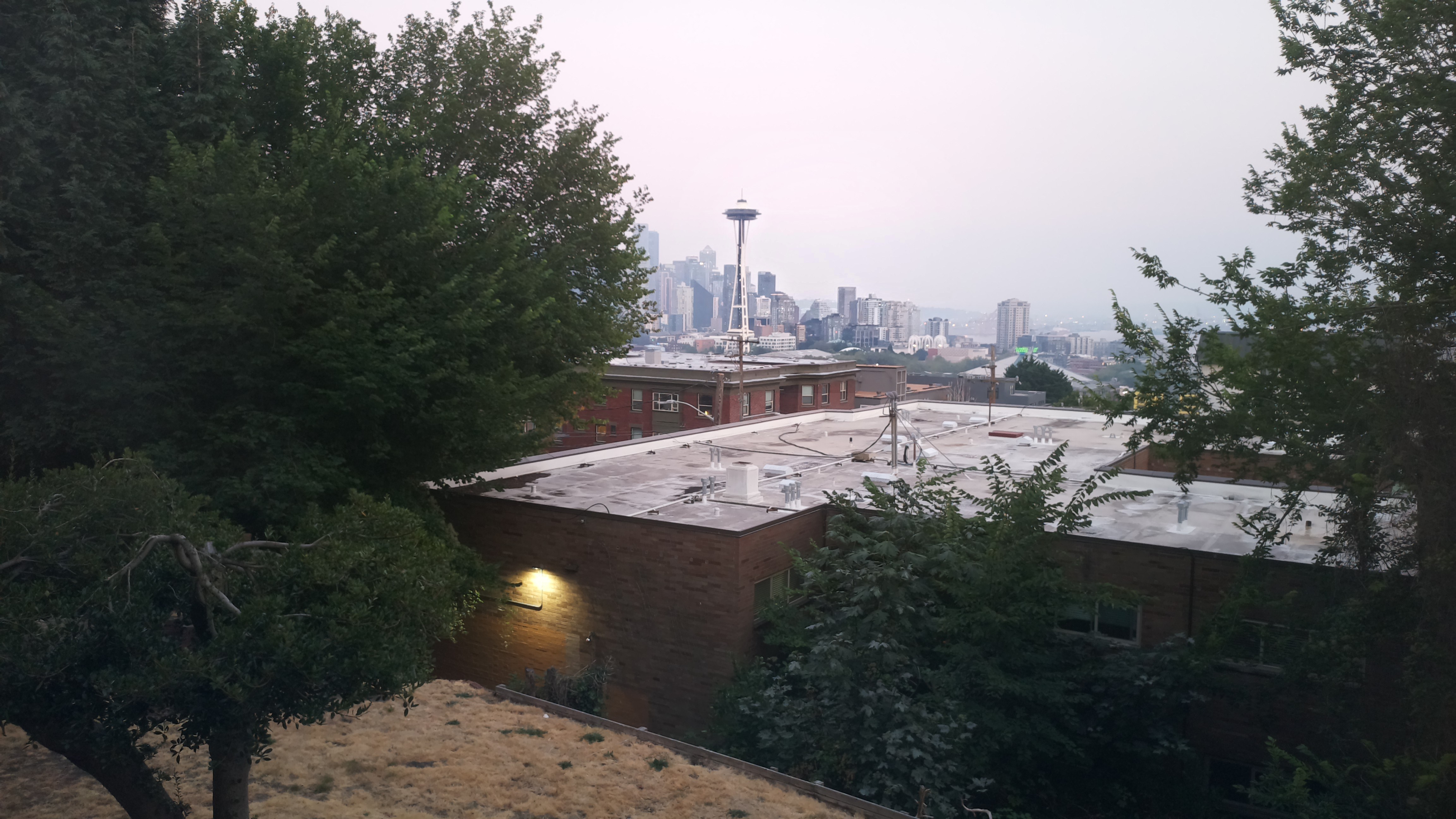 Mt. Rainier from Seattle — Wednesday, August 5