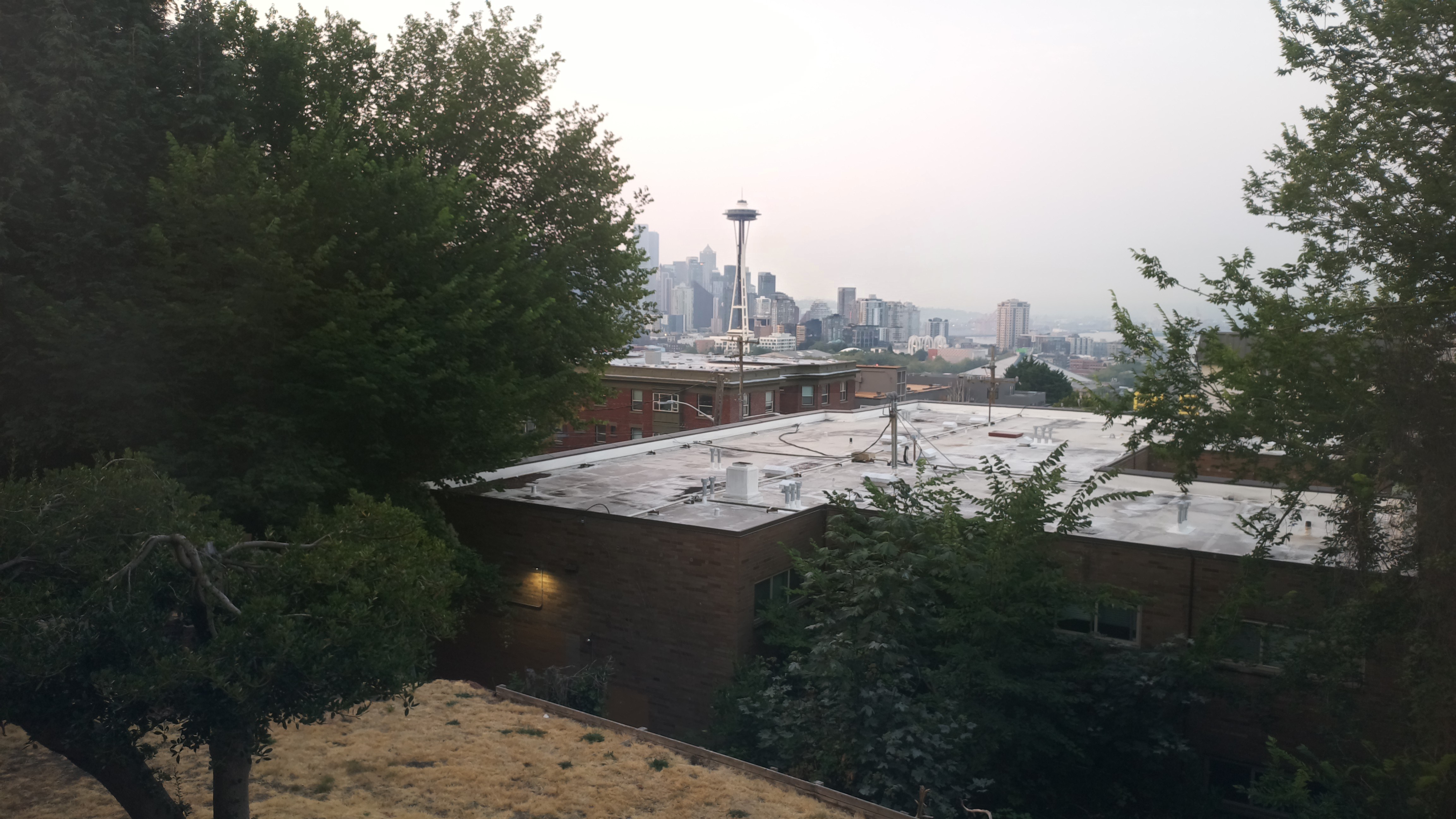 Mt. Rainier from Seattle — Thursday, August 6