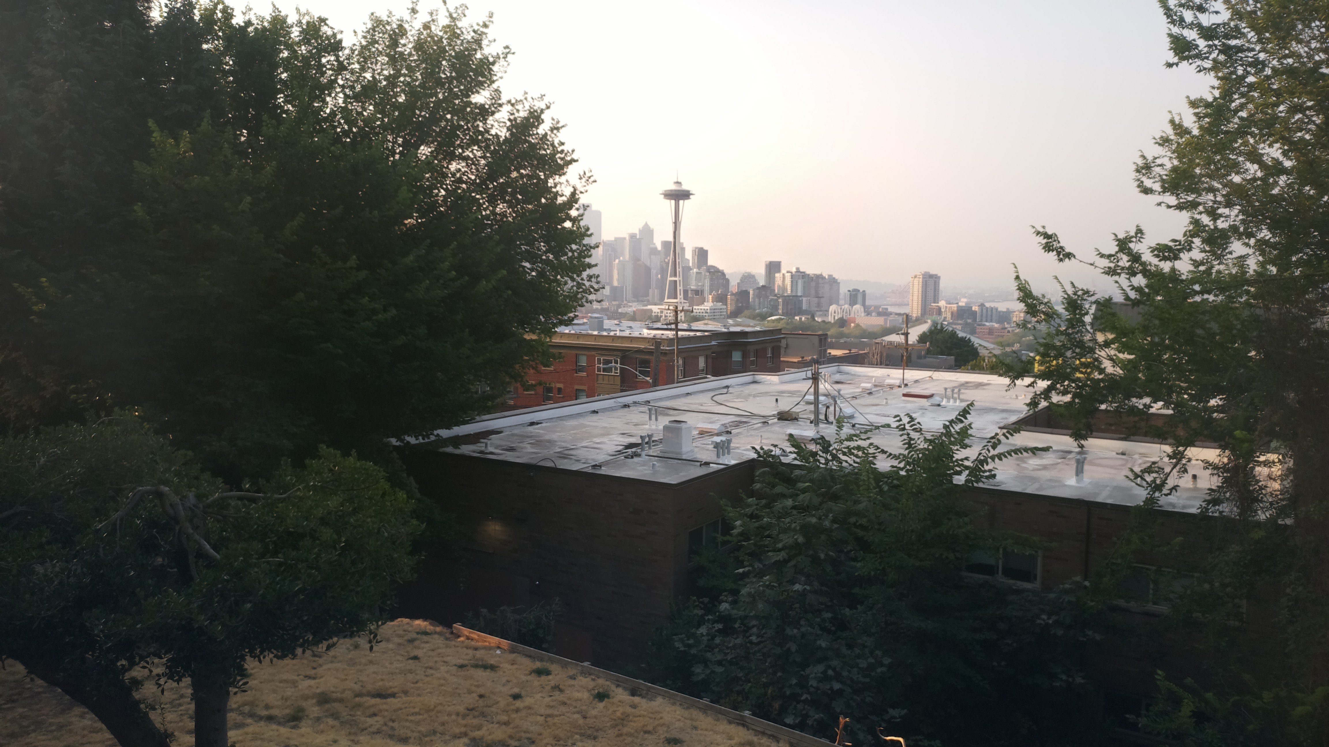 Mt. Rainier from Seattle — Thursday, August 6