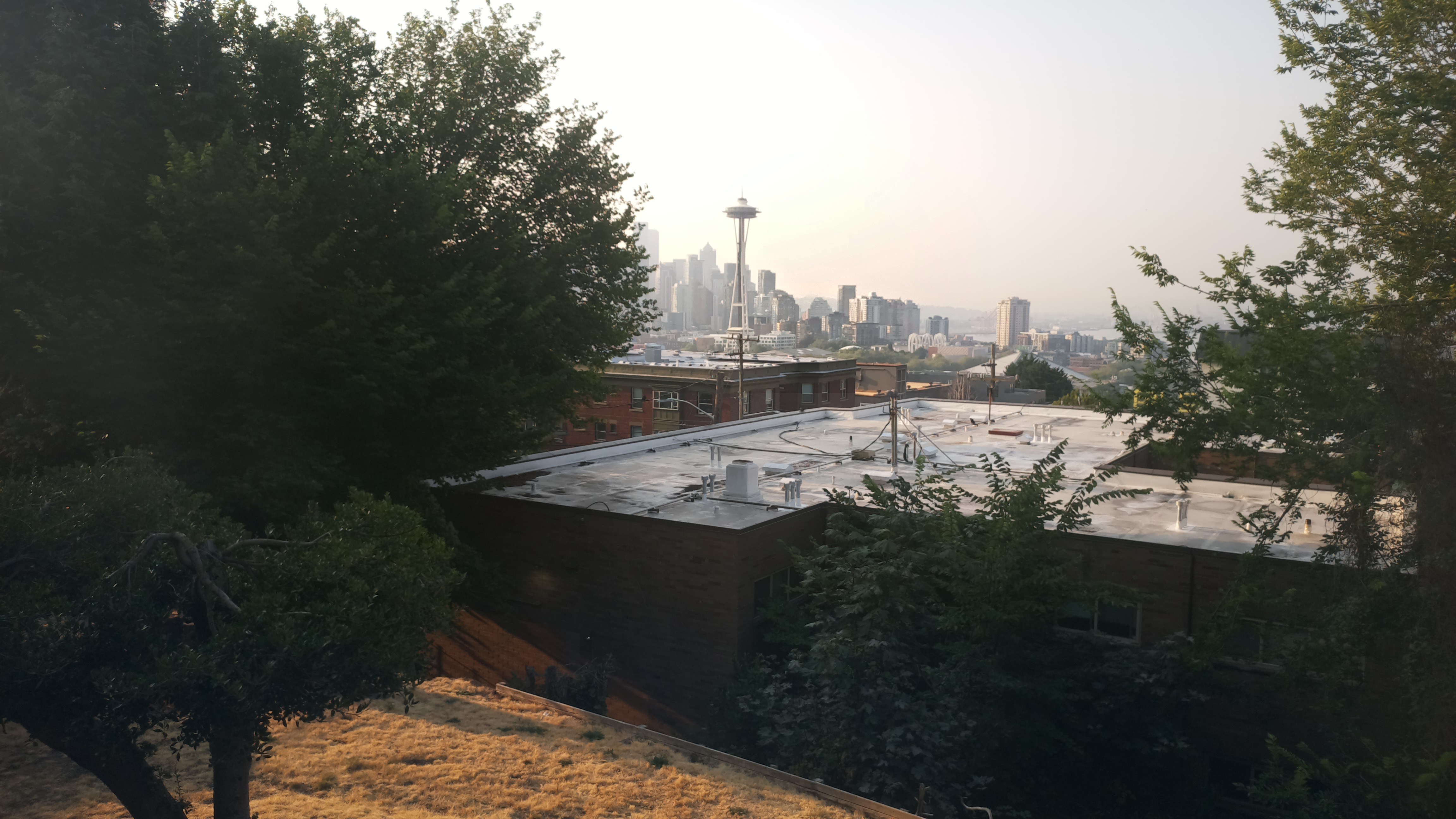 Mt. Rainier from Seattle — Thursday, August 6
