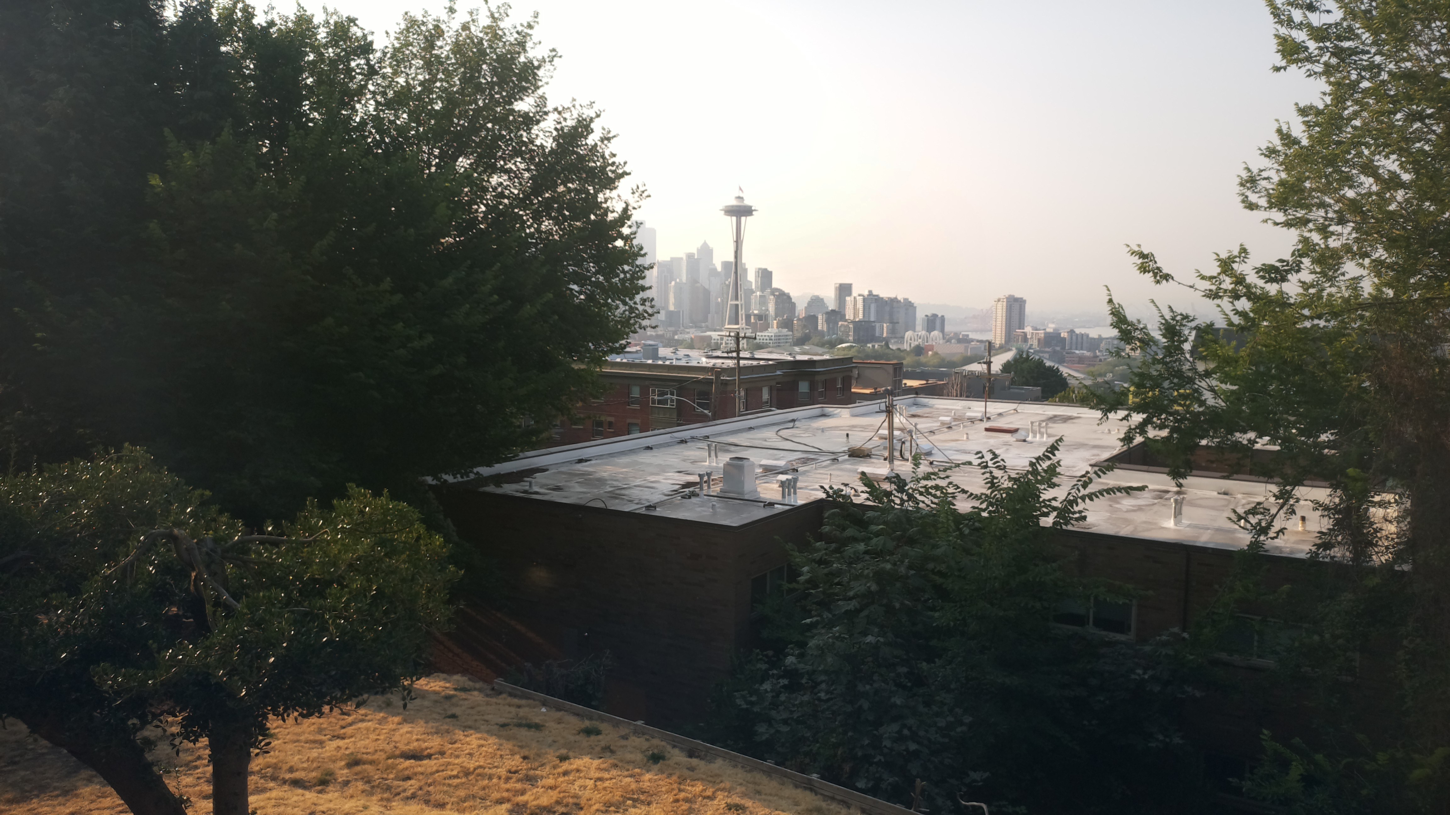 Mt. Rainier from Seattle — Thursday, August 6