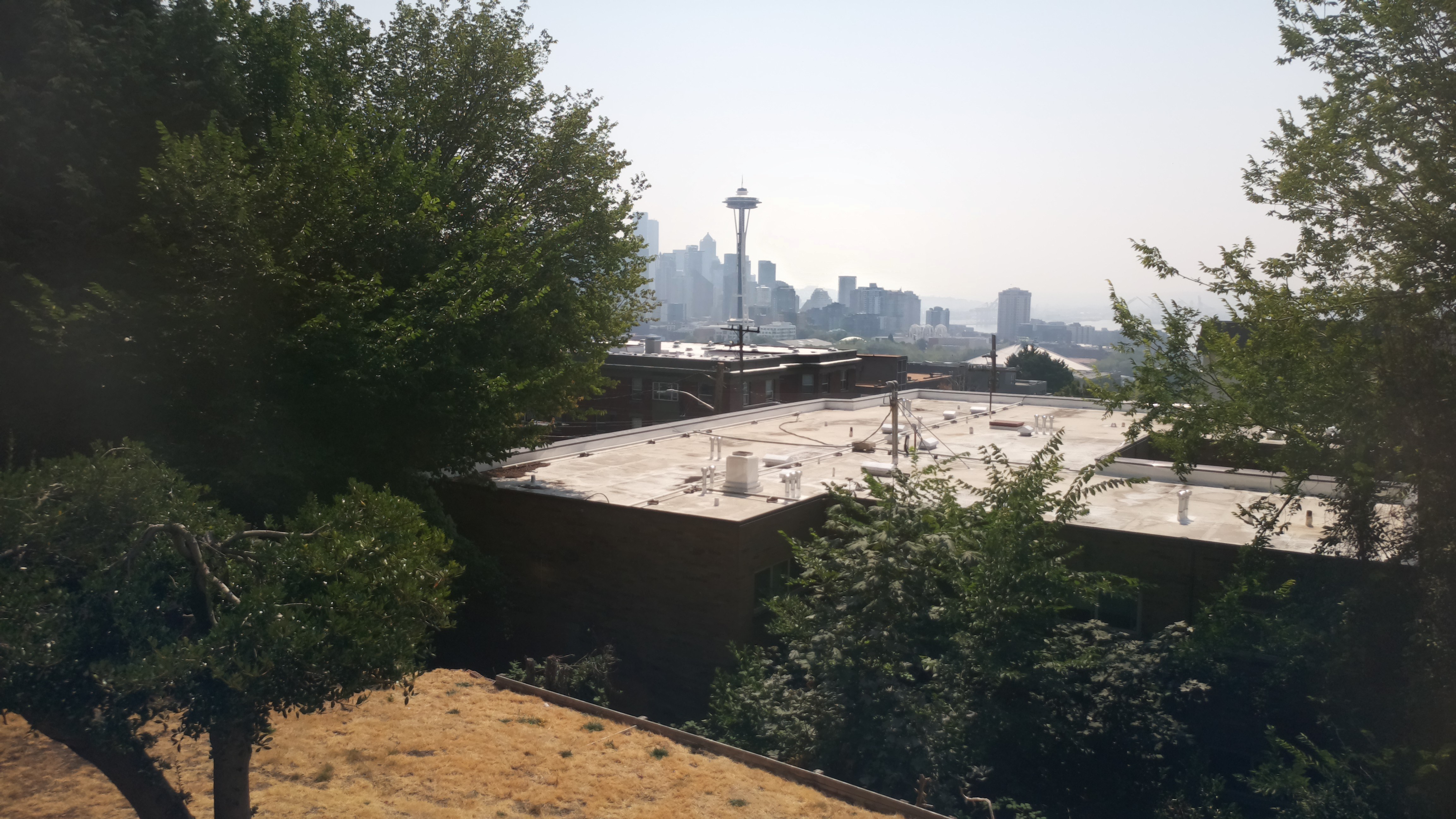 Mt. Rainier from Seattle — Thursday, August 6