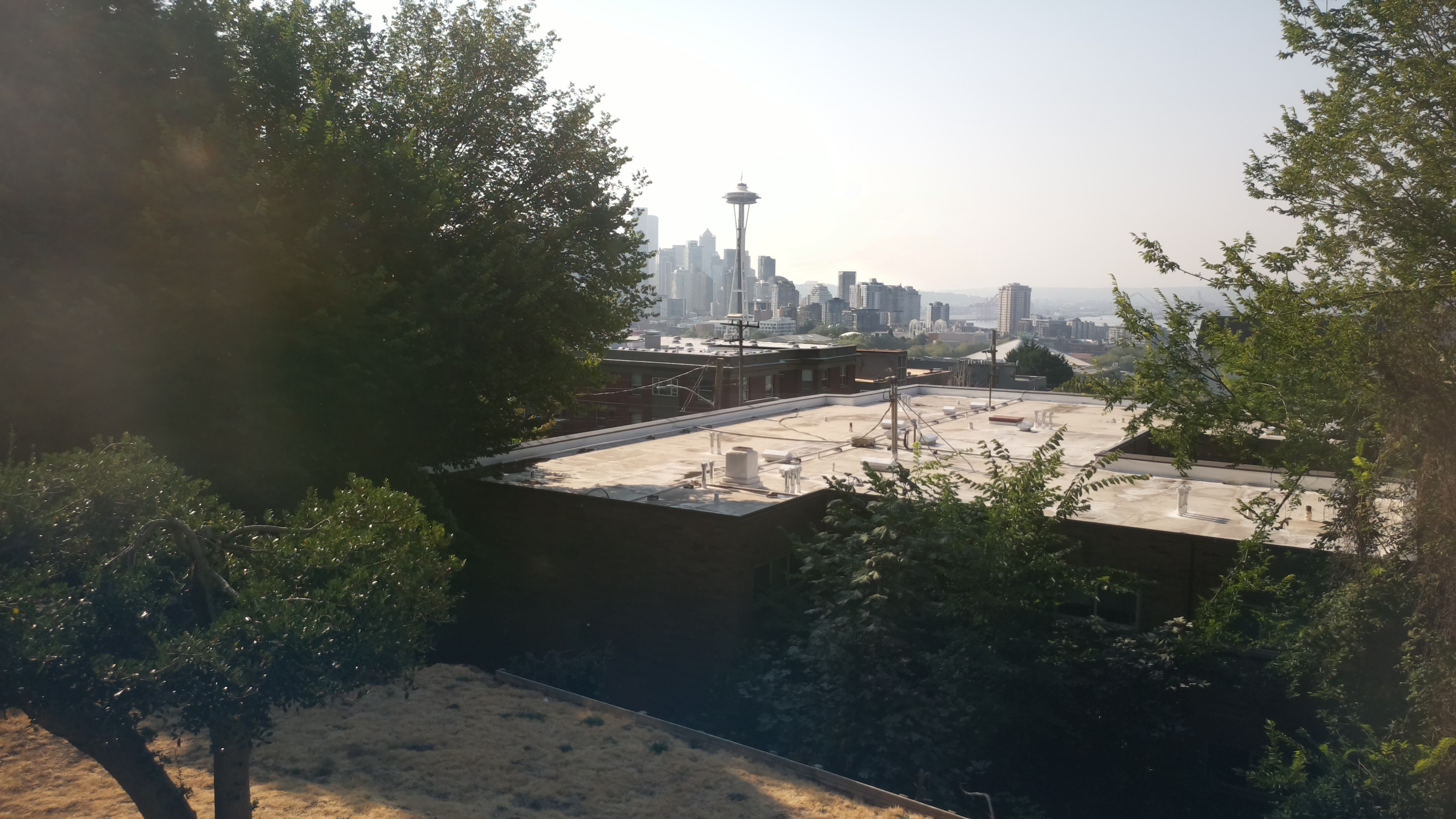 Mt. Rainier from Seattle — Friday, August 7