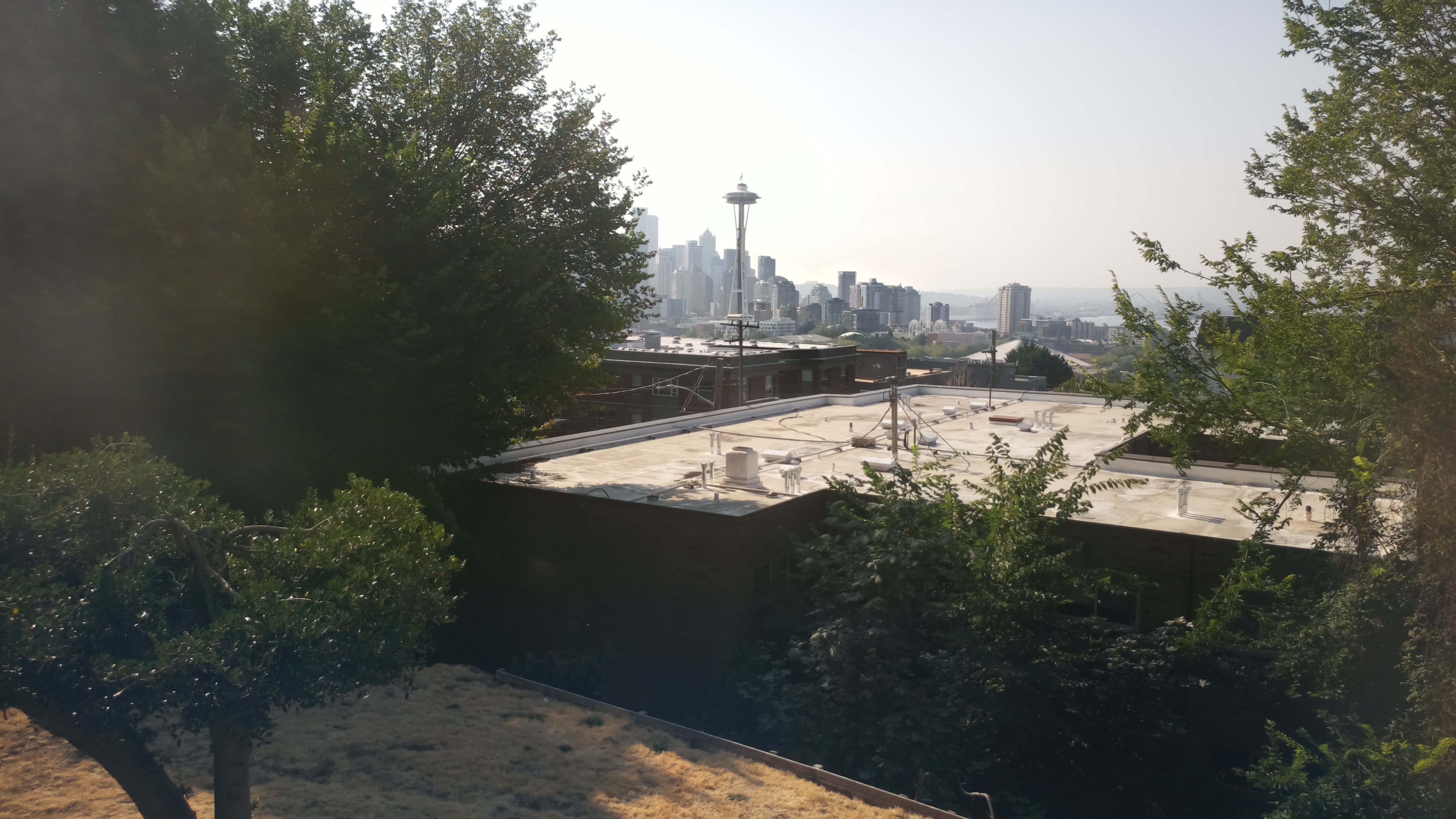 Mt. Rainier from Seattle — Friday, August 7