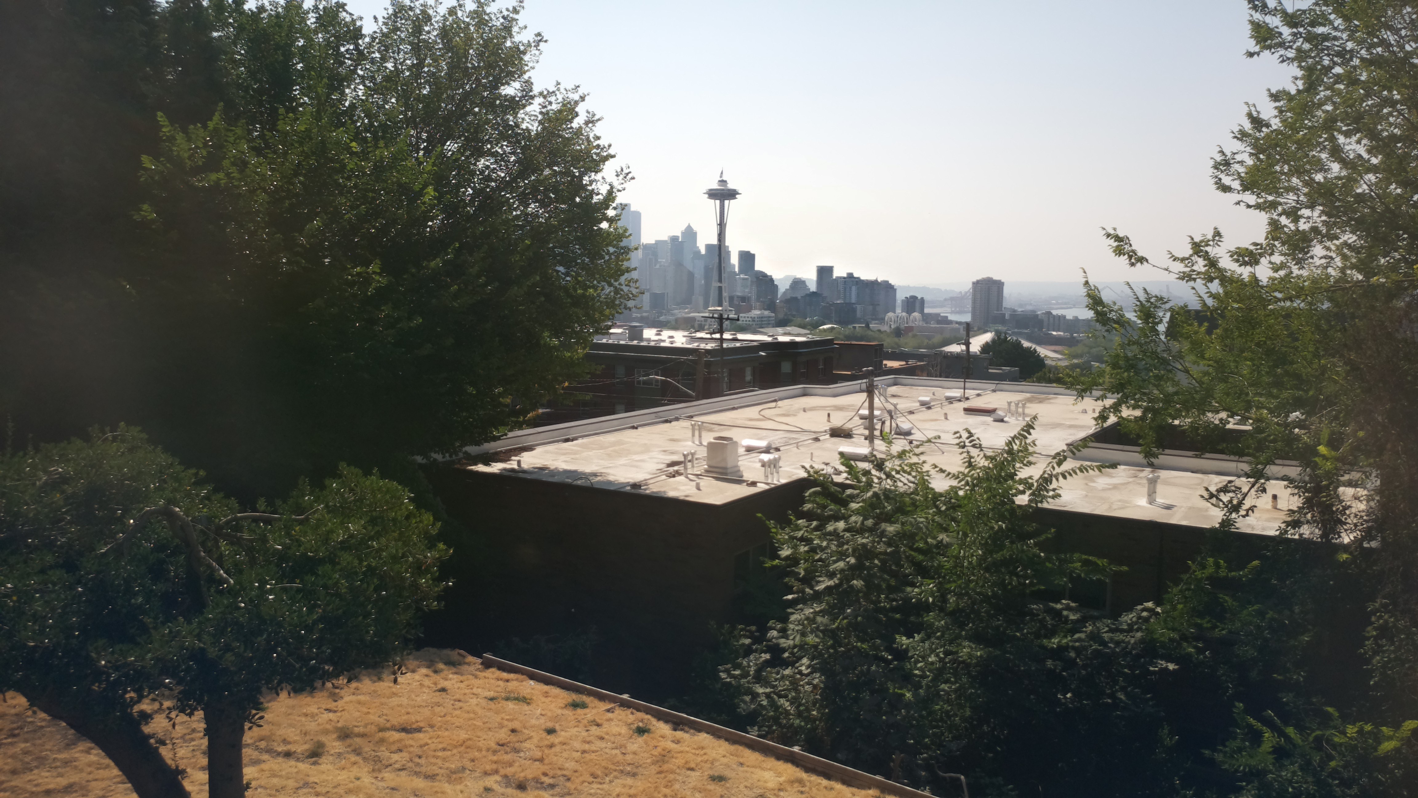 Mt. Rainier from Seattle — Friday, August 7