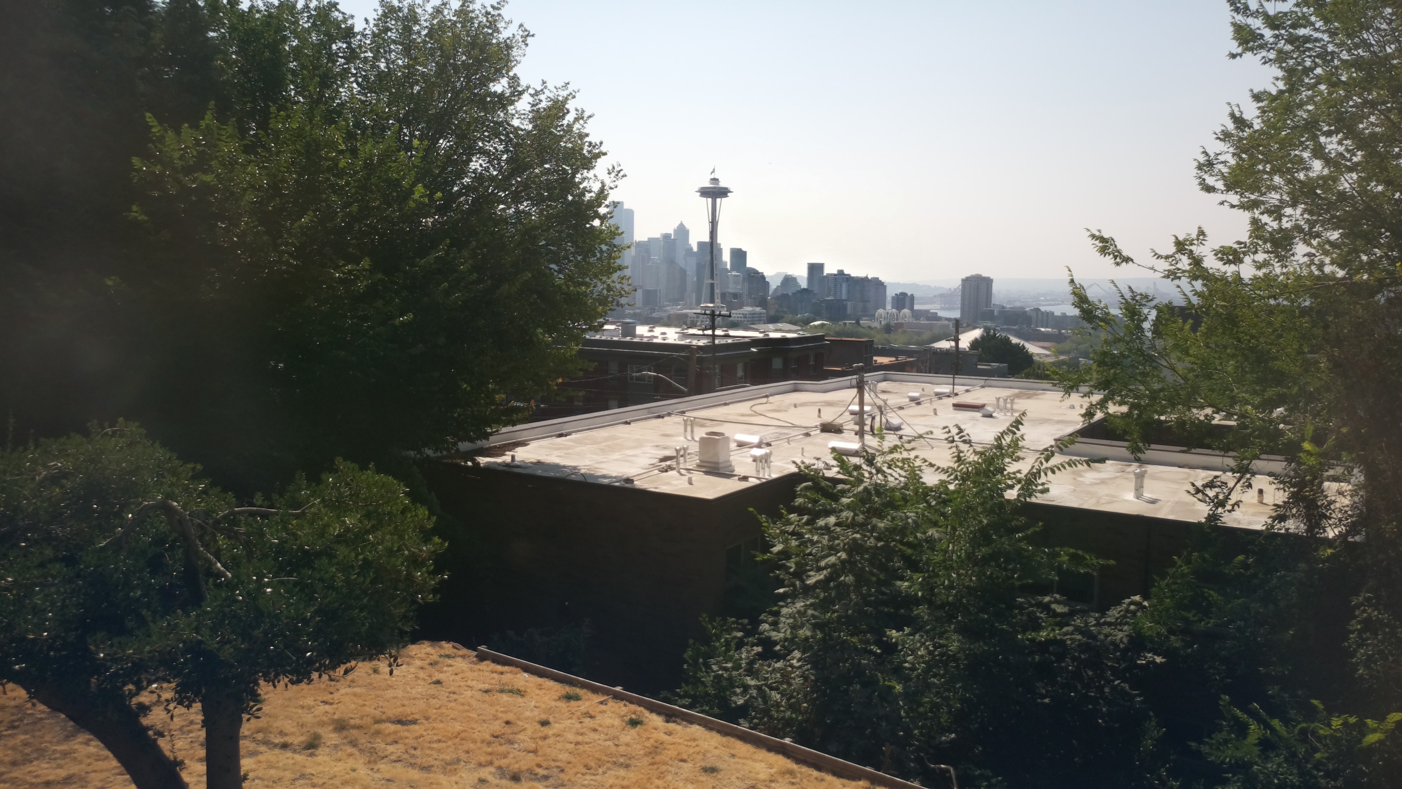 Mt. Rainier from Seattle — Friday, August 7