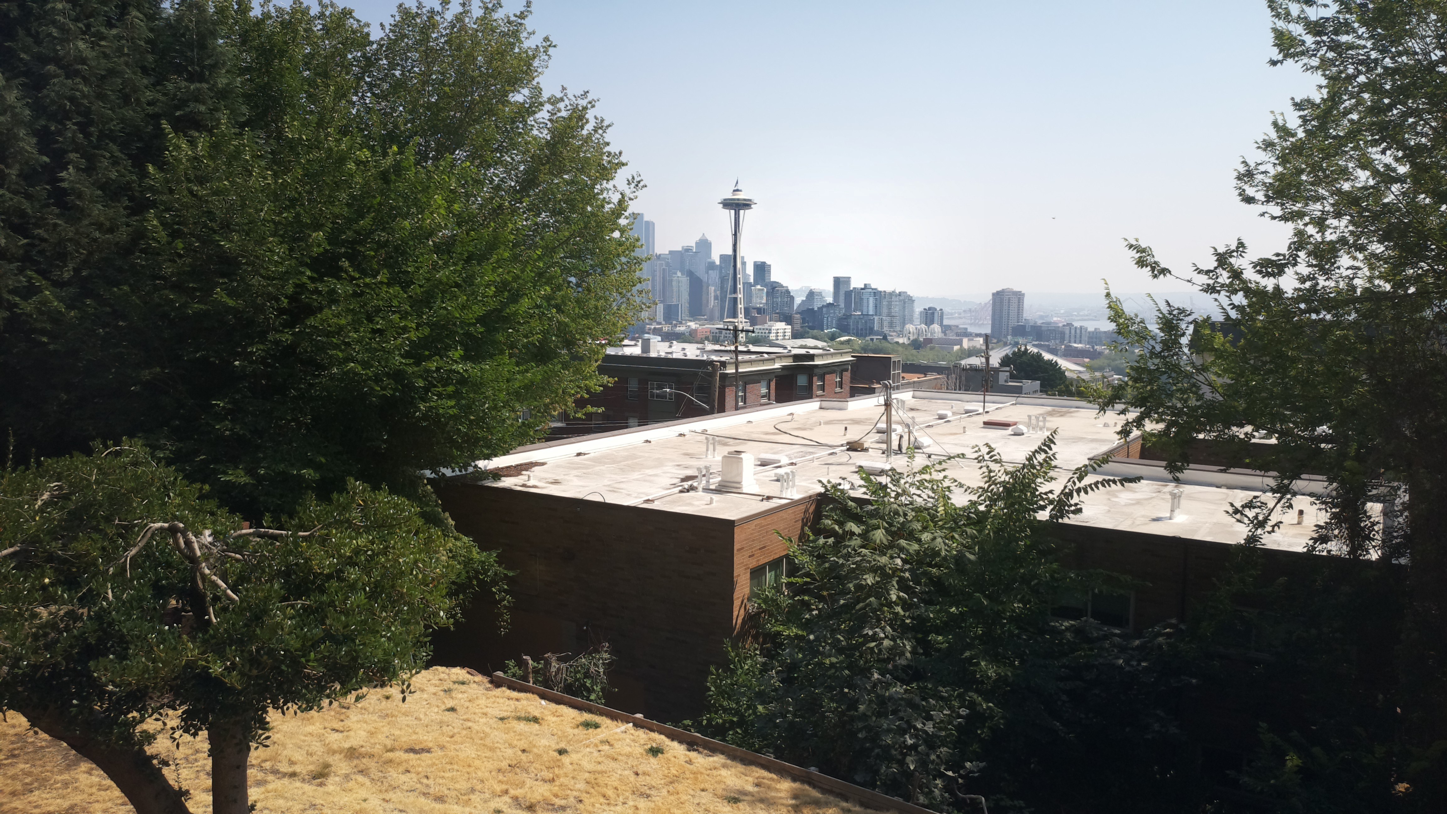 Mt. Rainier from Seattle — Friday, August 7