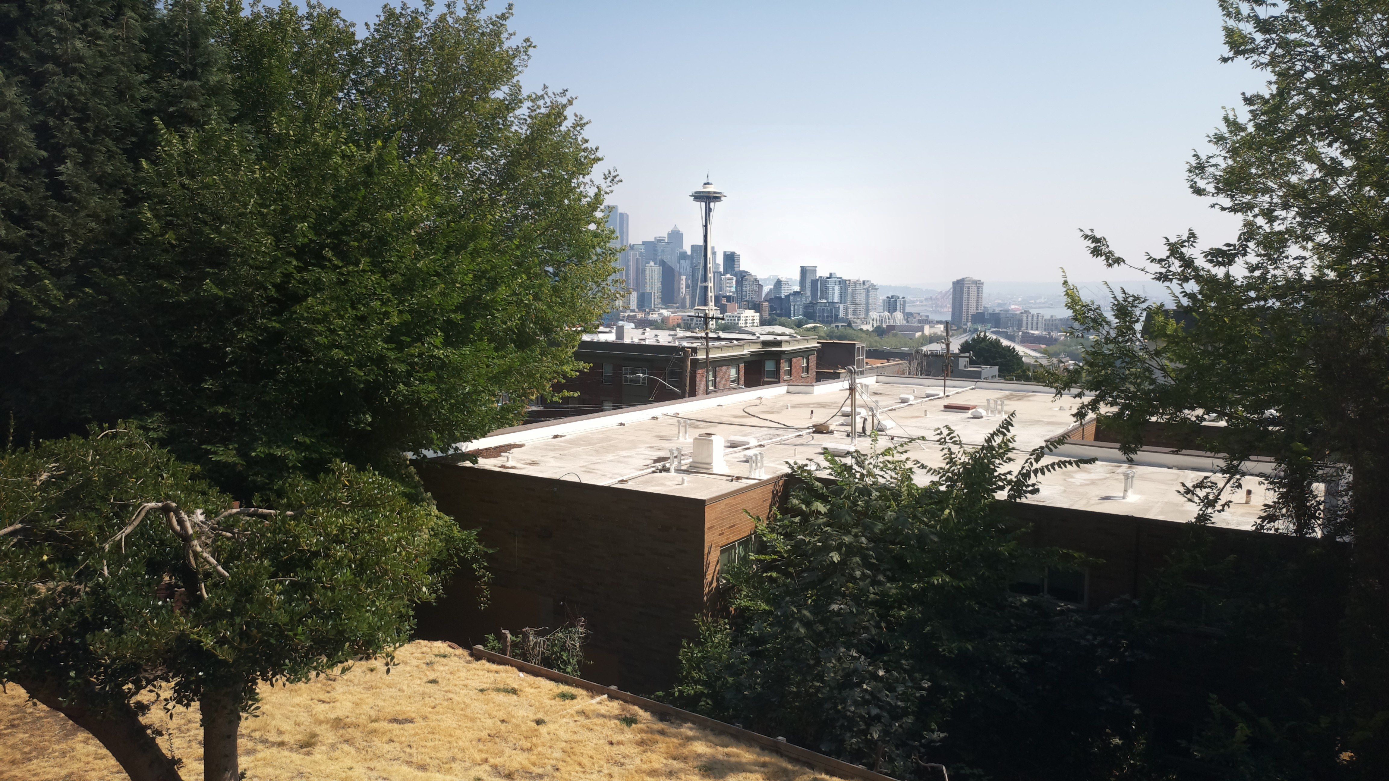Mt. Rainier from Seattle — Friday, August 7