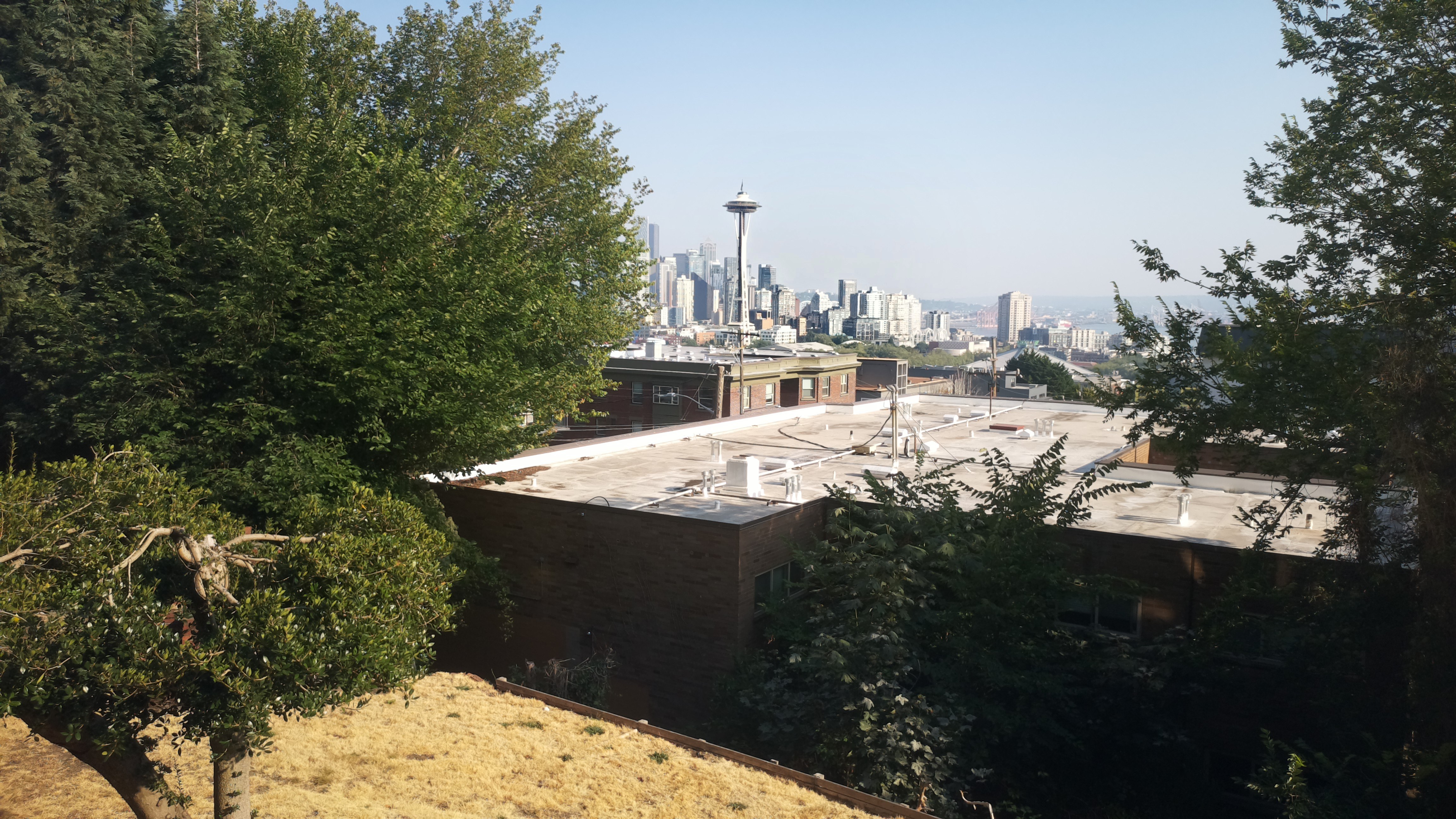 Mt. Rainier from Seattle — Friday, August 7
