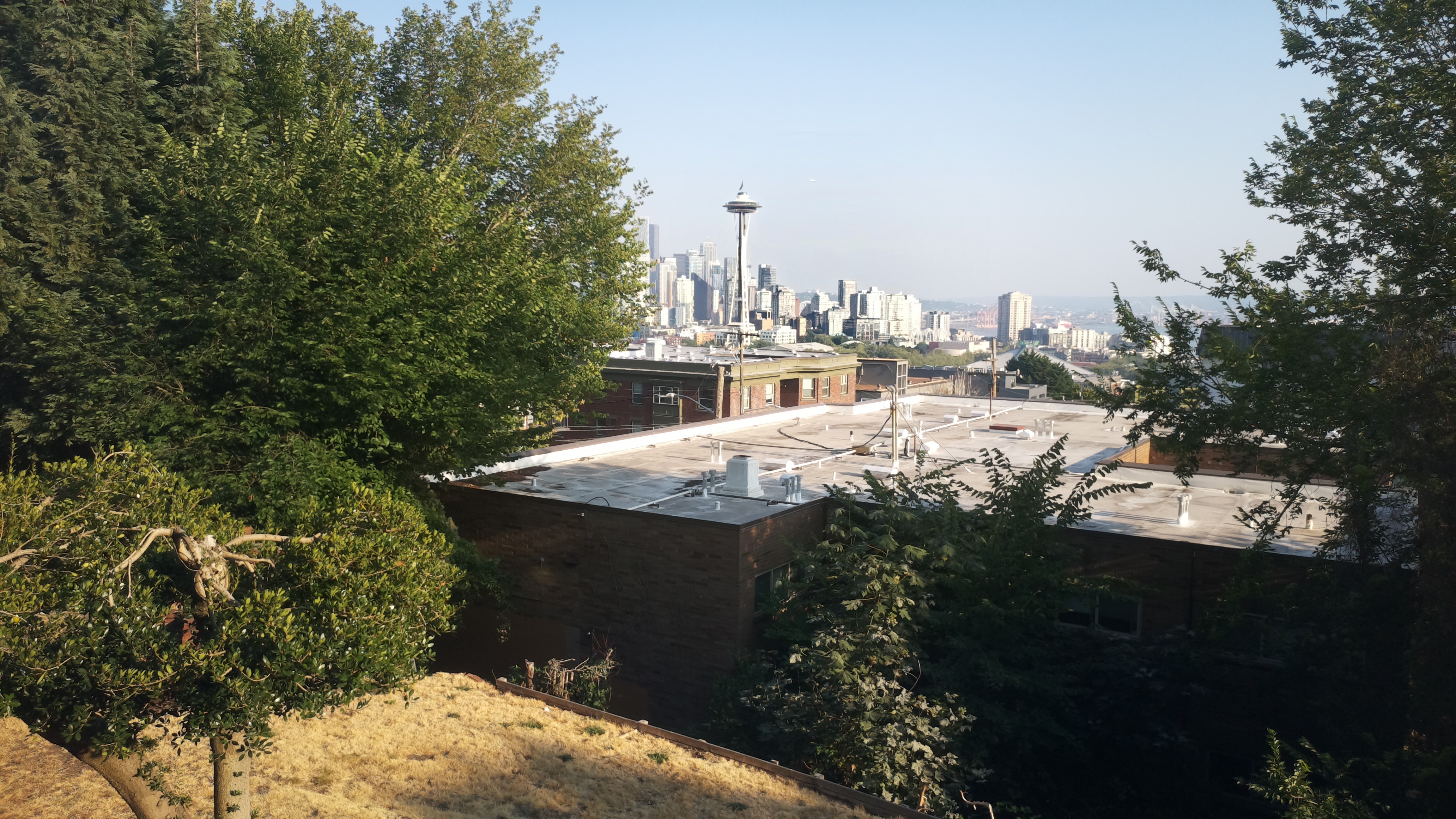 Mt. Rainier from Seattle — Friday, August 7