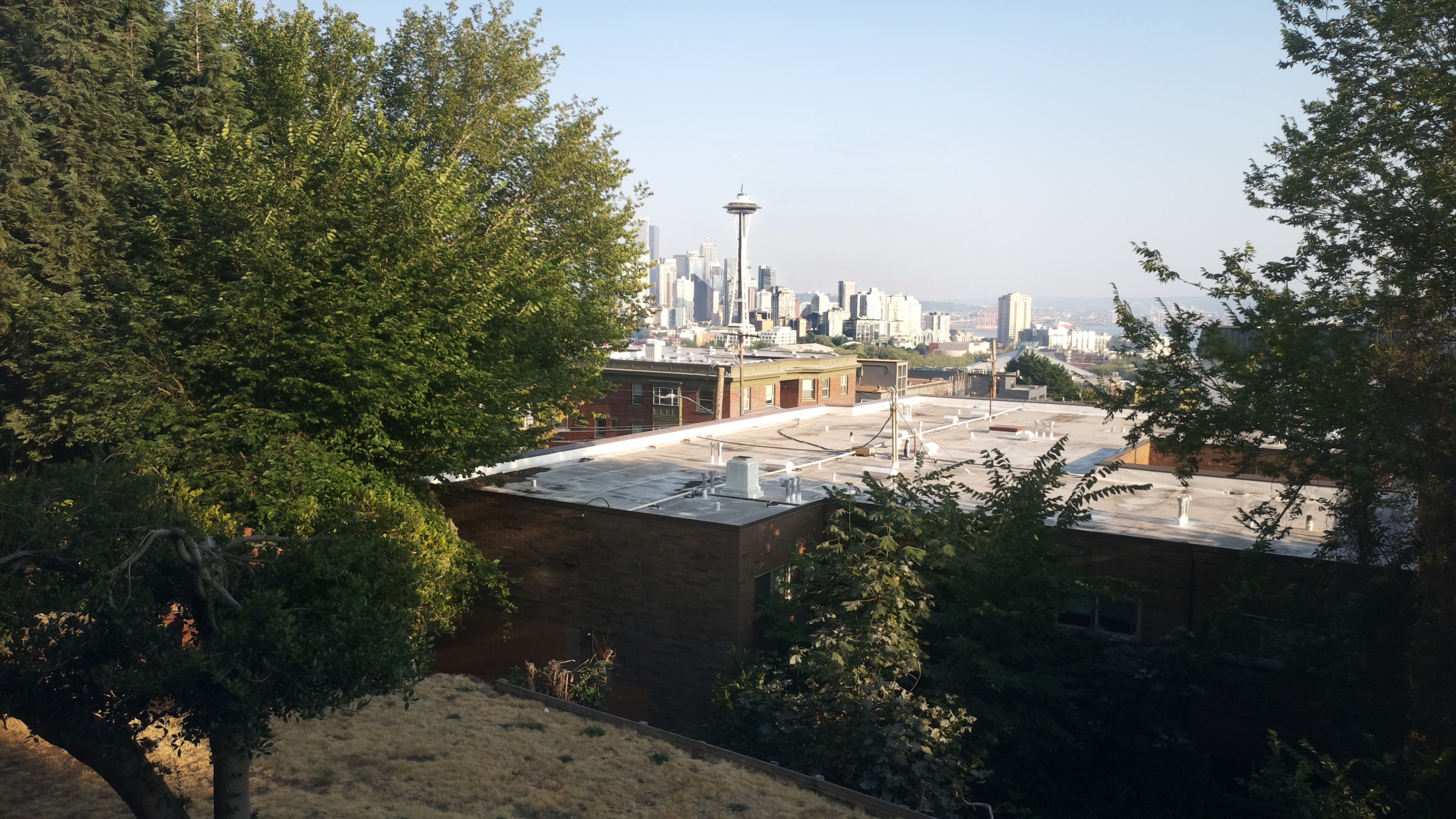 Mt. Rainier from Seattle — Friday, August 7