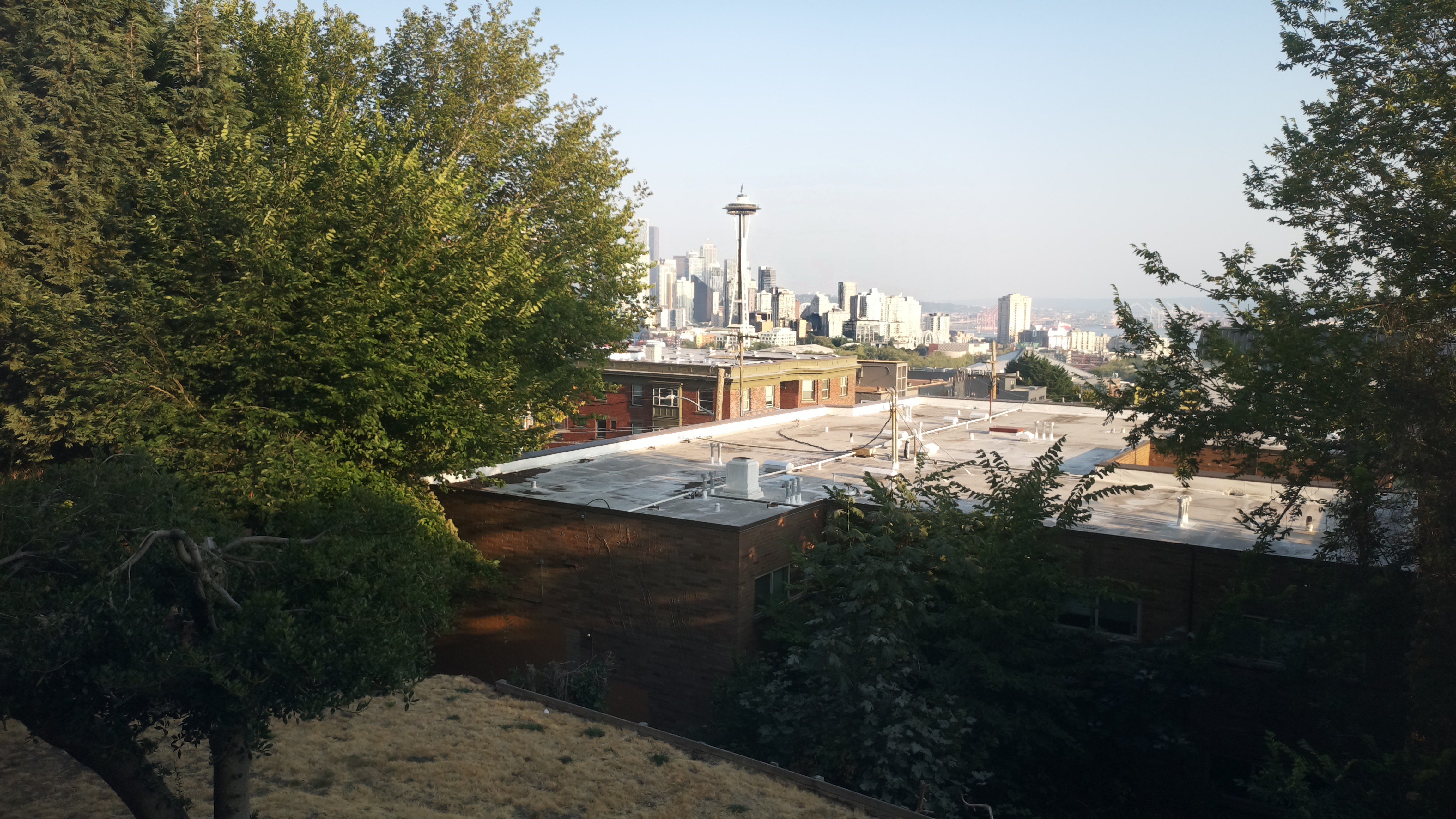 Mt. Rainier from Seattle — Friday, August 7