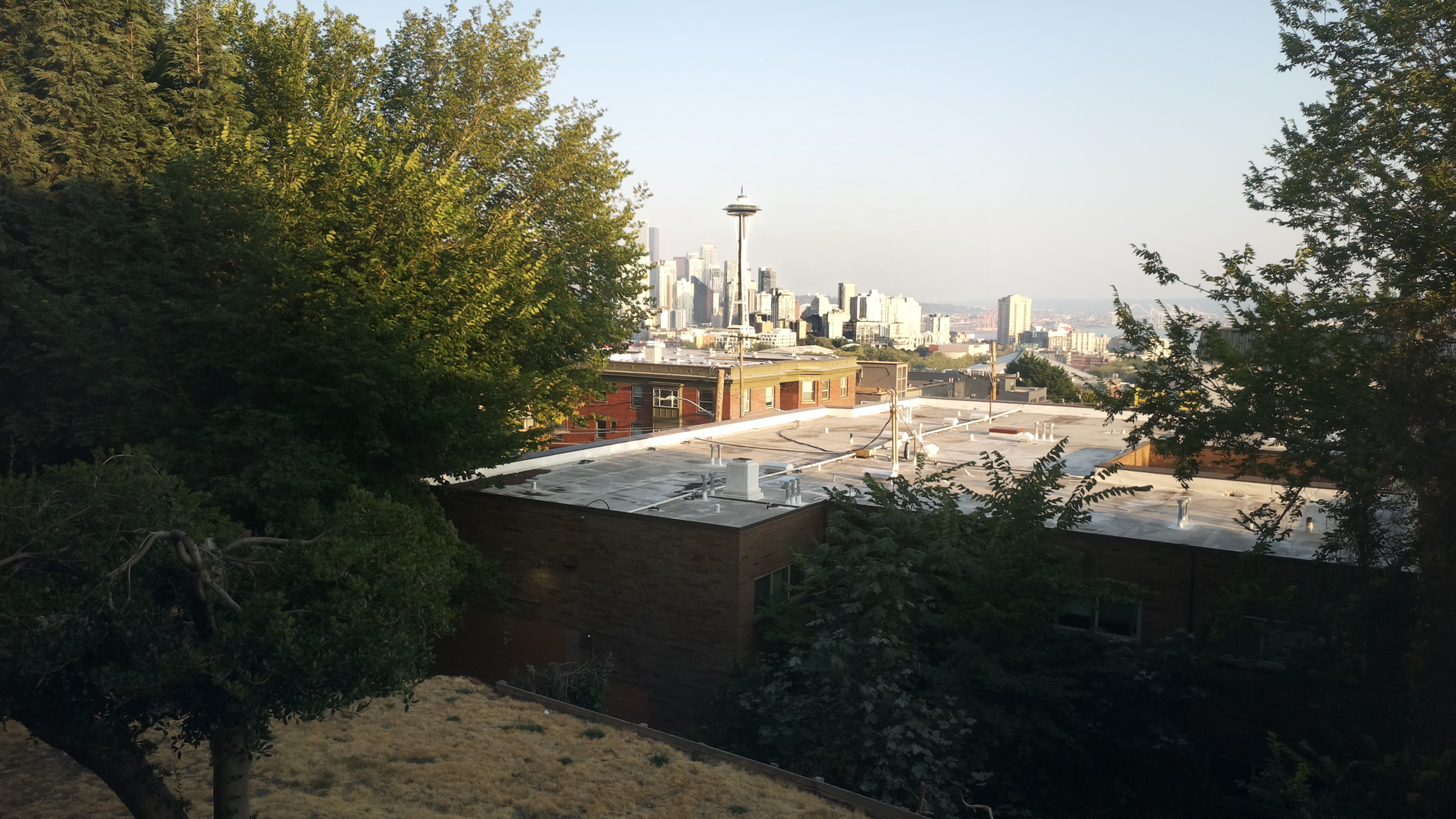Mt. Rainier from Seattle — Friday, August 7