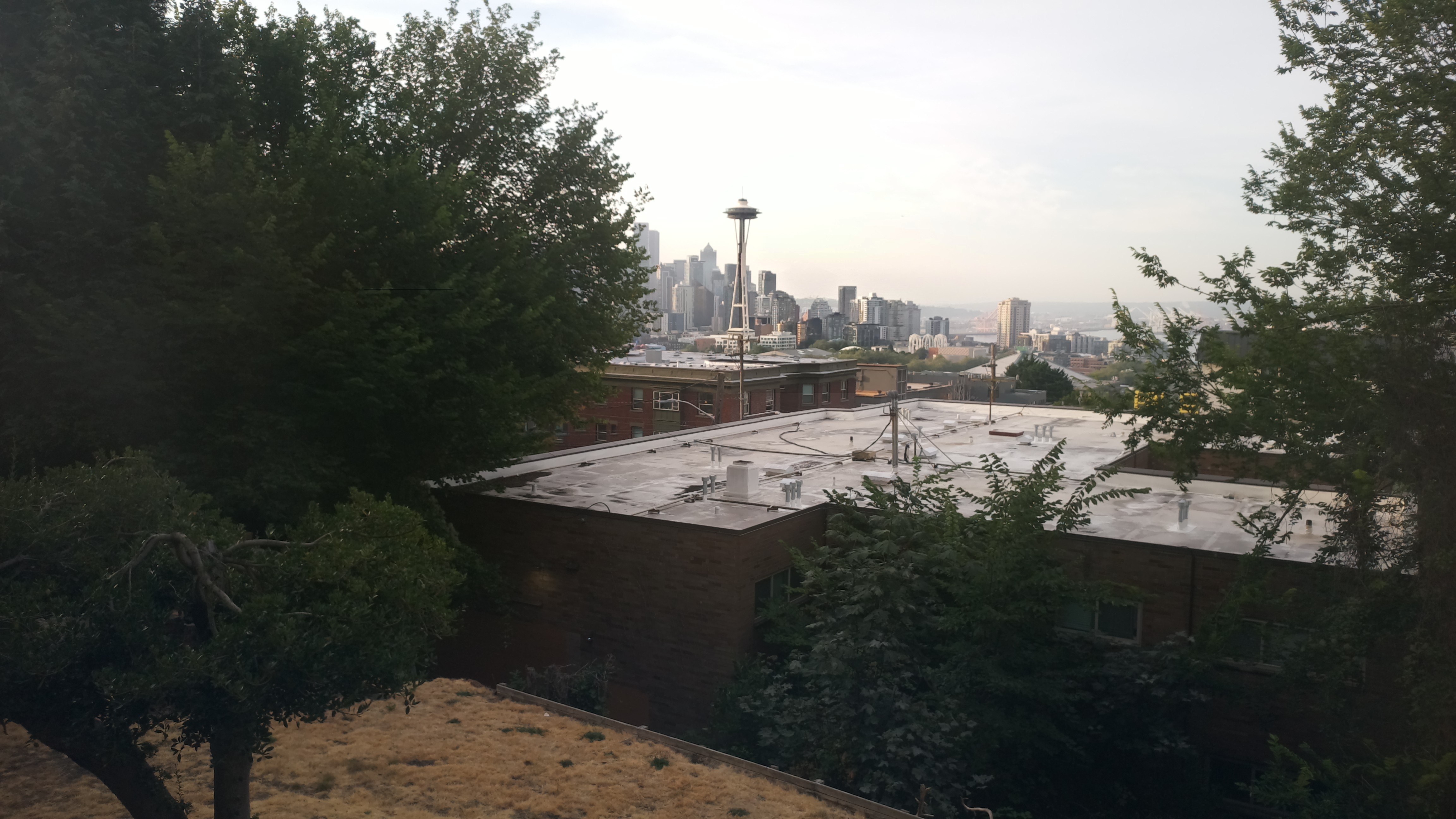 Mt. Rainier from Seattle — Saturday, August 8