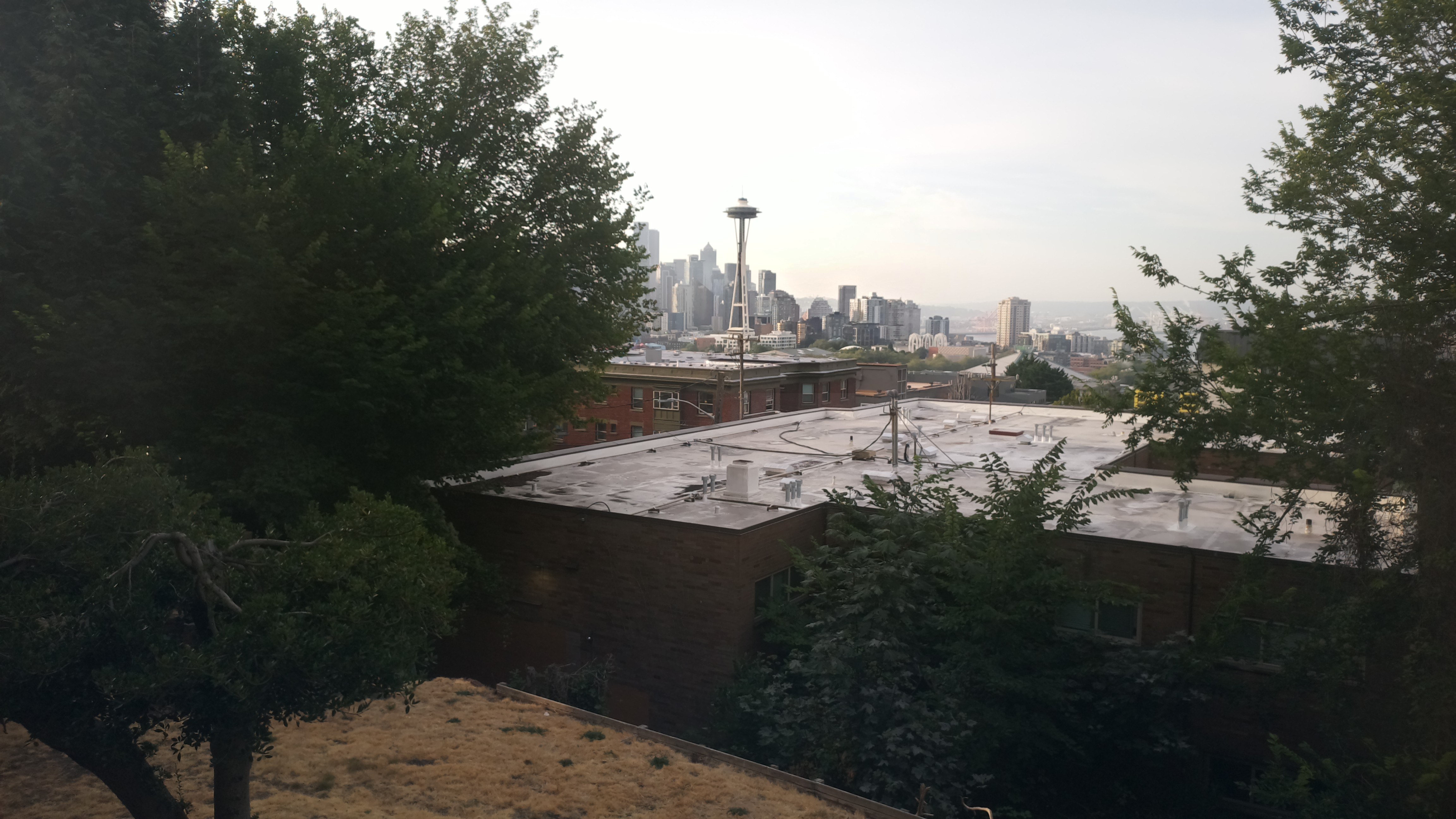 Mt. Rainier from Seattle — Saturday, August 8