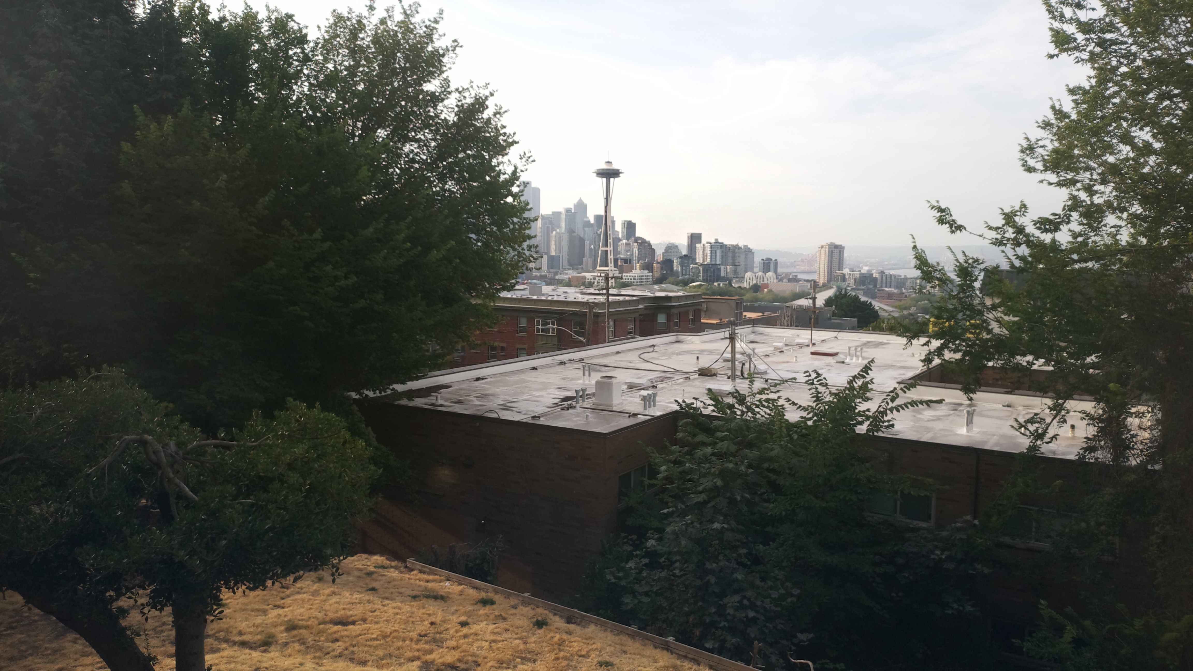 Mt. Rainier from Seattle — Saturday, August 8