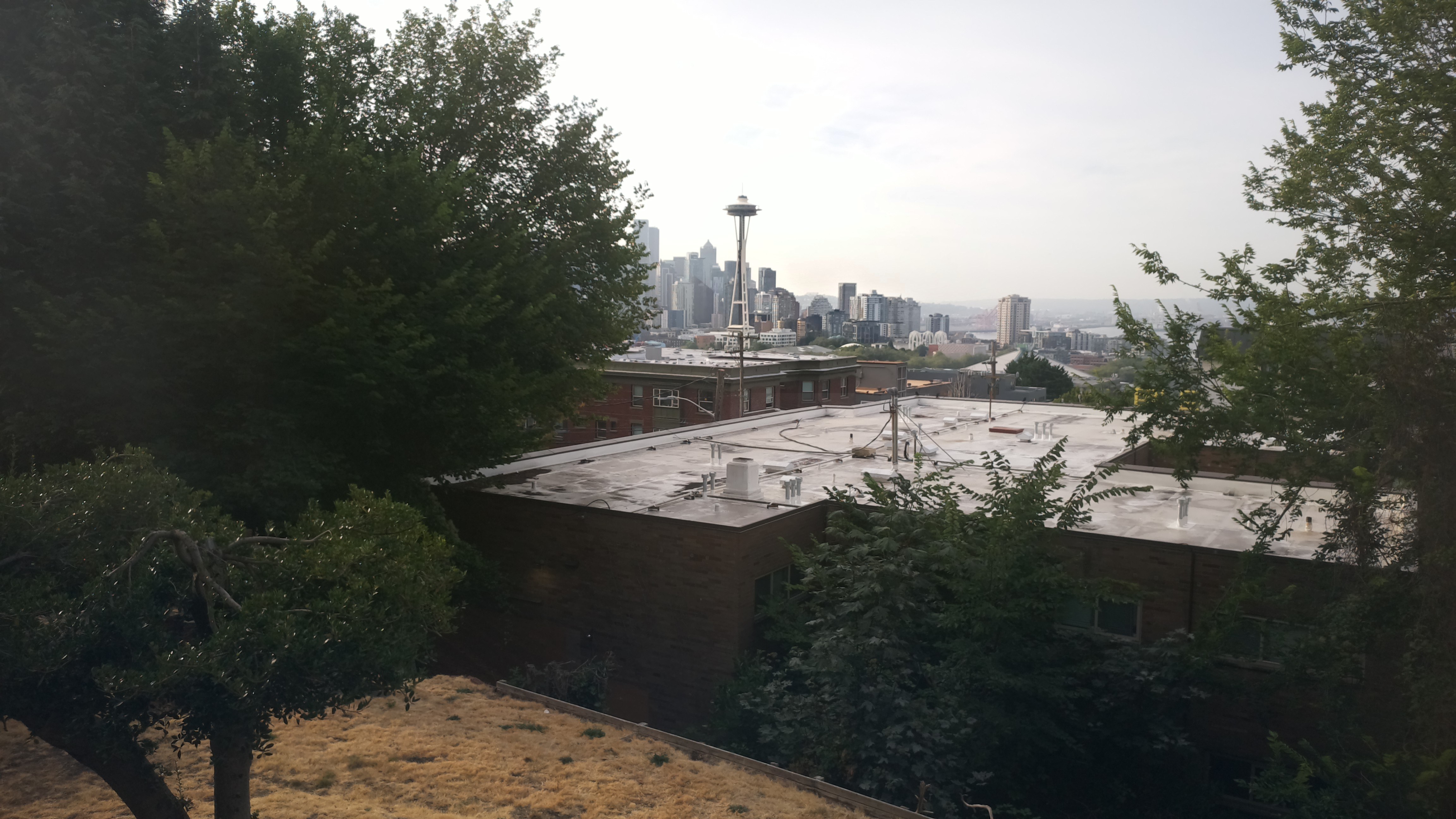 Mt. Rainier from Seattle — Saturday, August 8