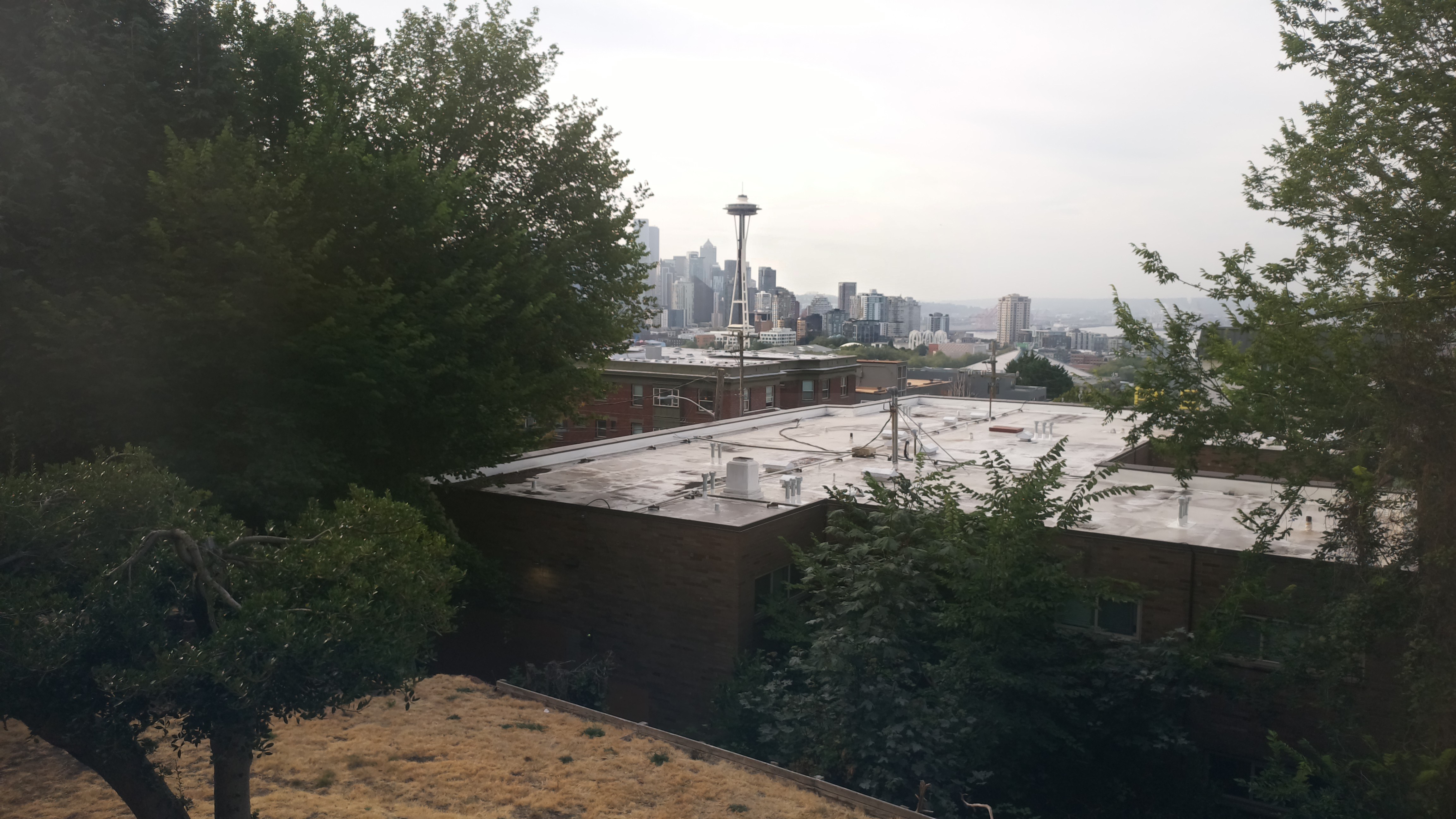 Mt. Rainier from Seattle — Saturday, August 8