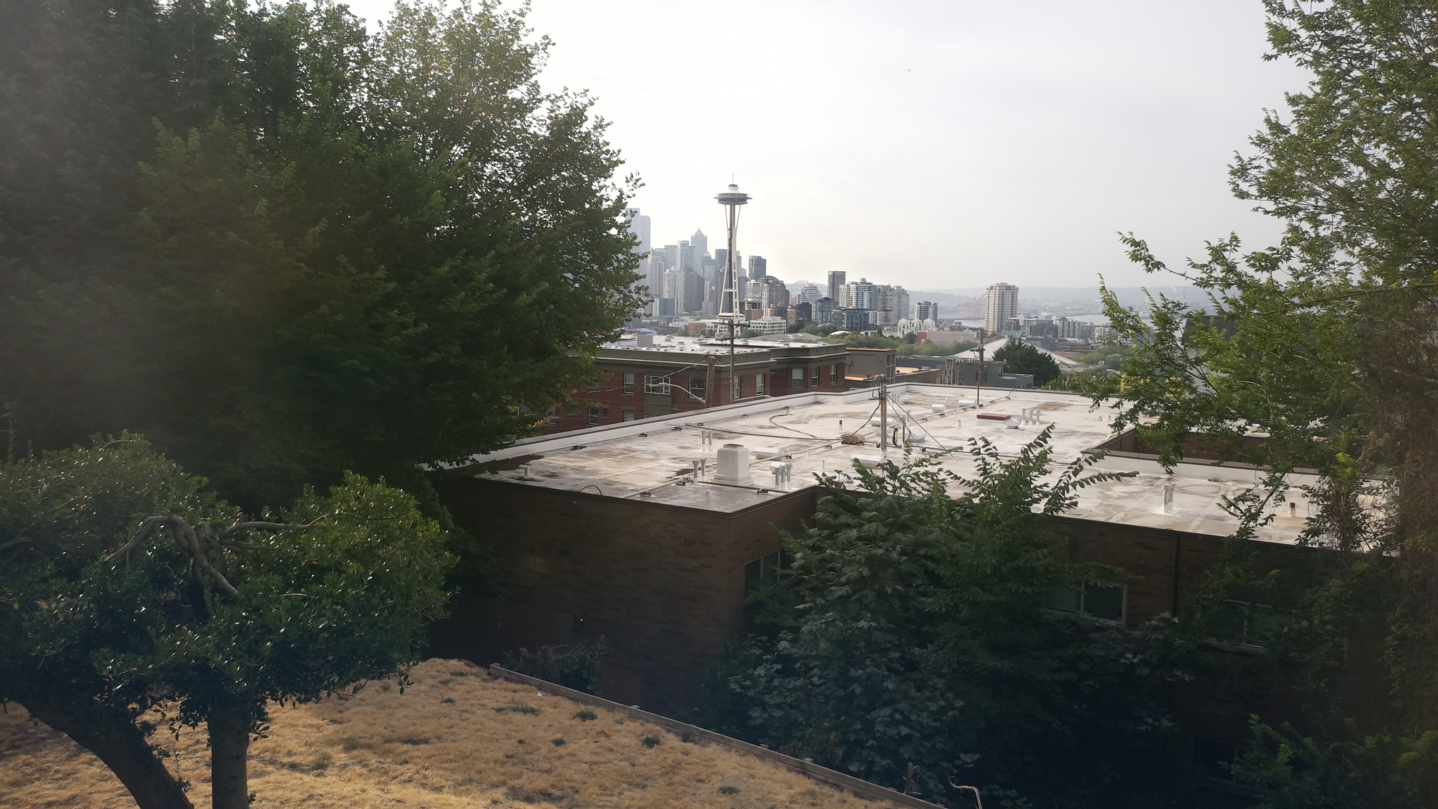 Mt. Rainier from Seattle — Saturday, August 8
