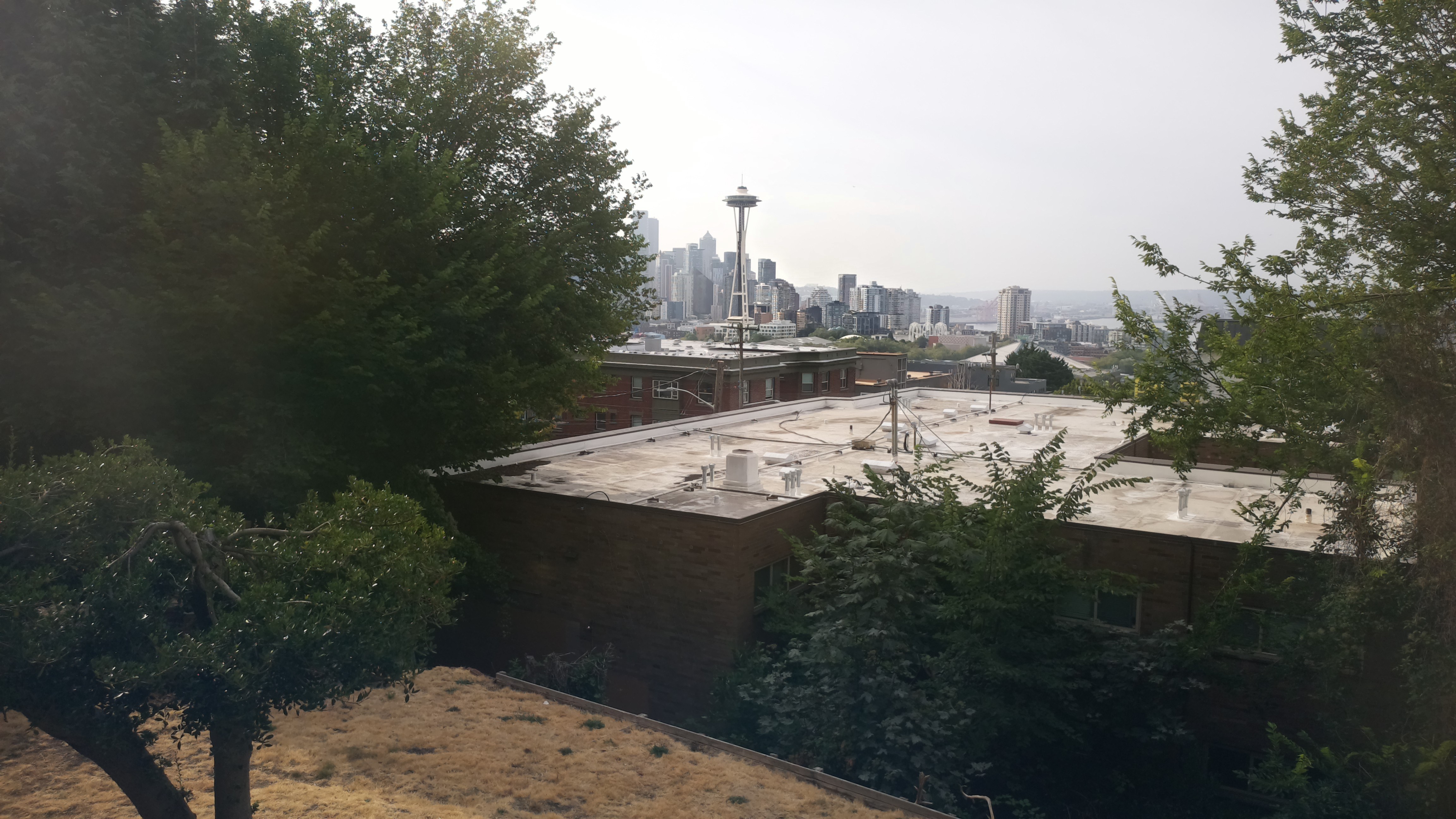 Mt. Rainier from Seattle — Saturday, August 8