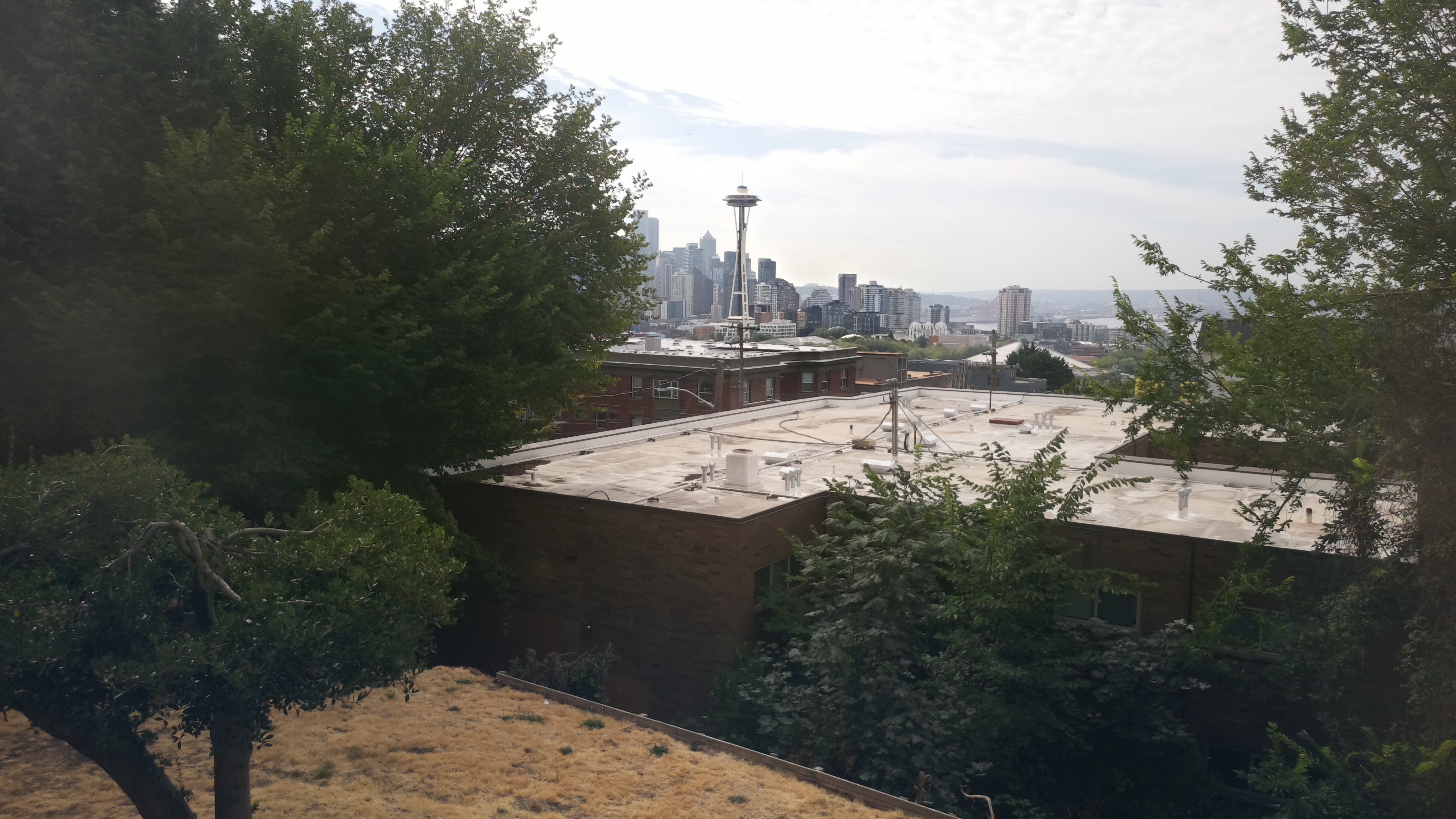 Mt. Rainier from Seattle — Saturday, August 8