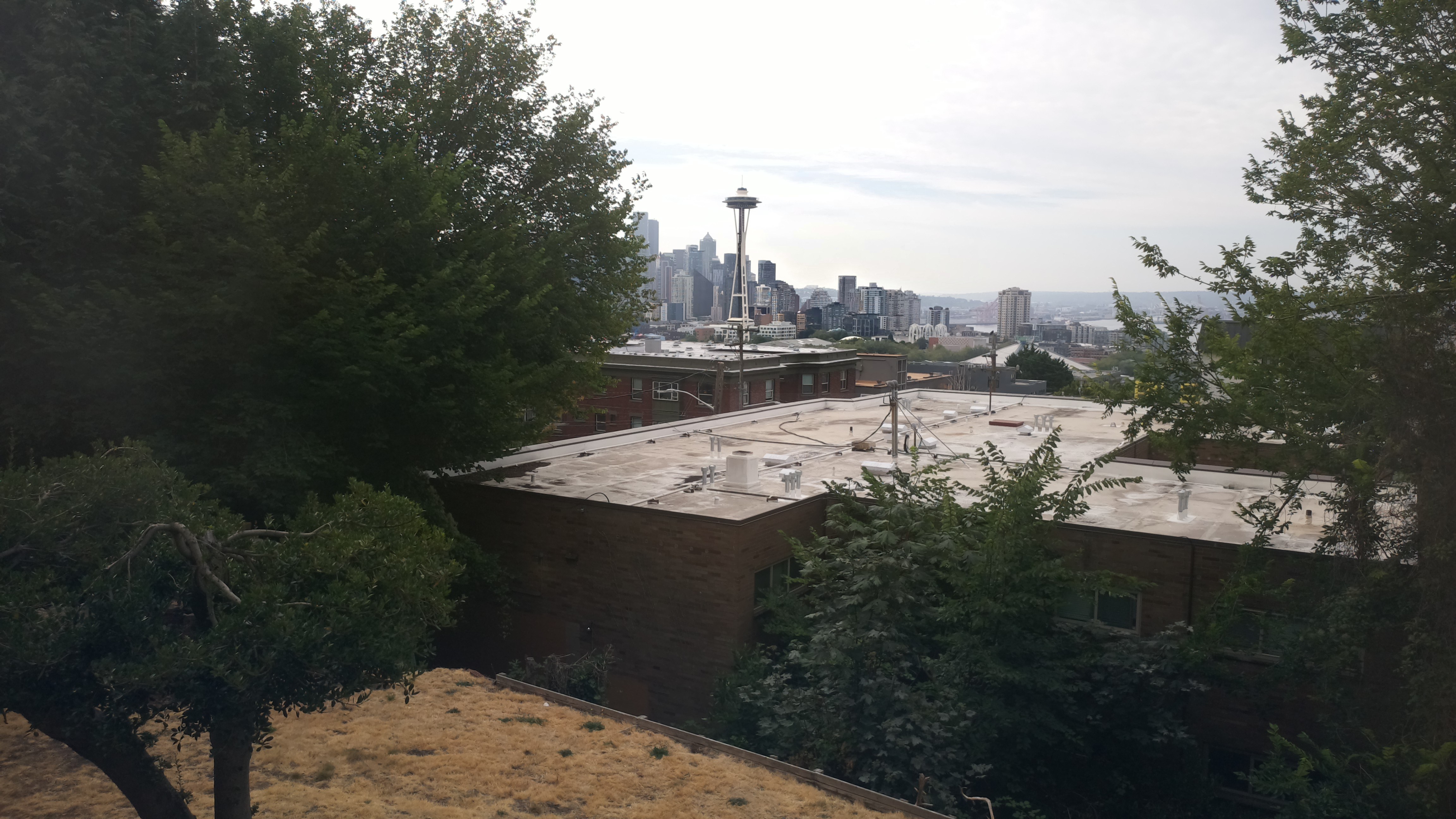 Mt. Rainier from Seattle — Saturday, August 8