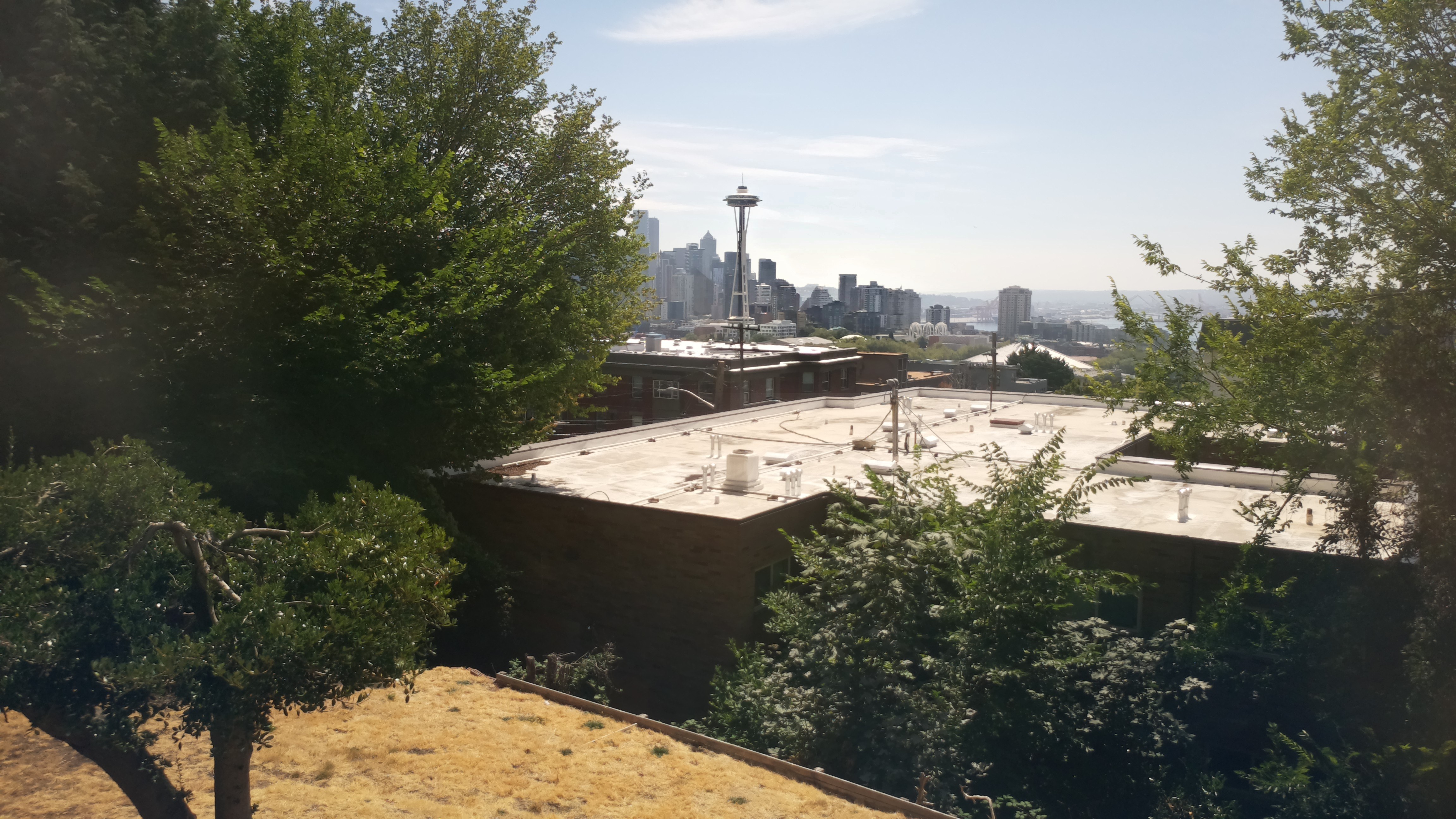 Mt. Rainier from Seattle — Saturday, August 8