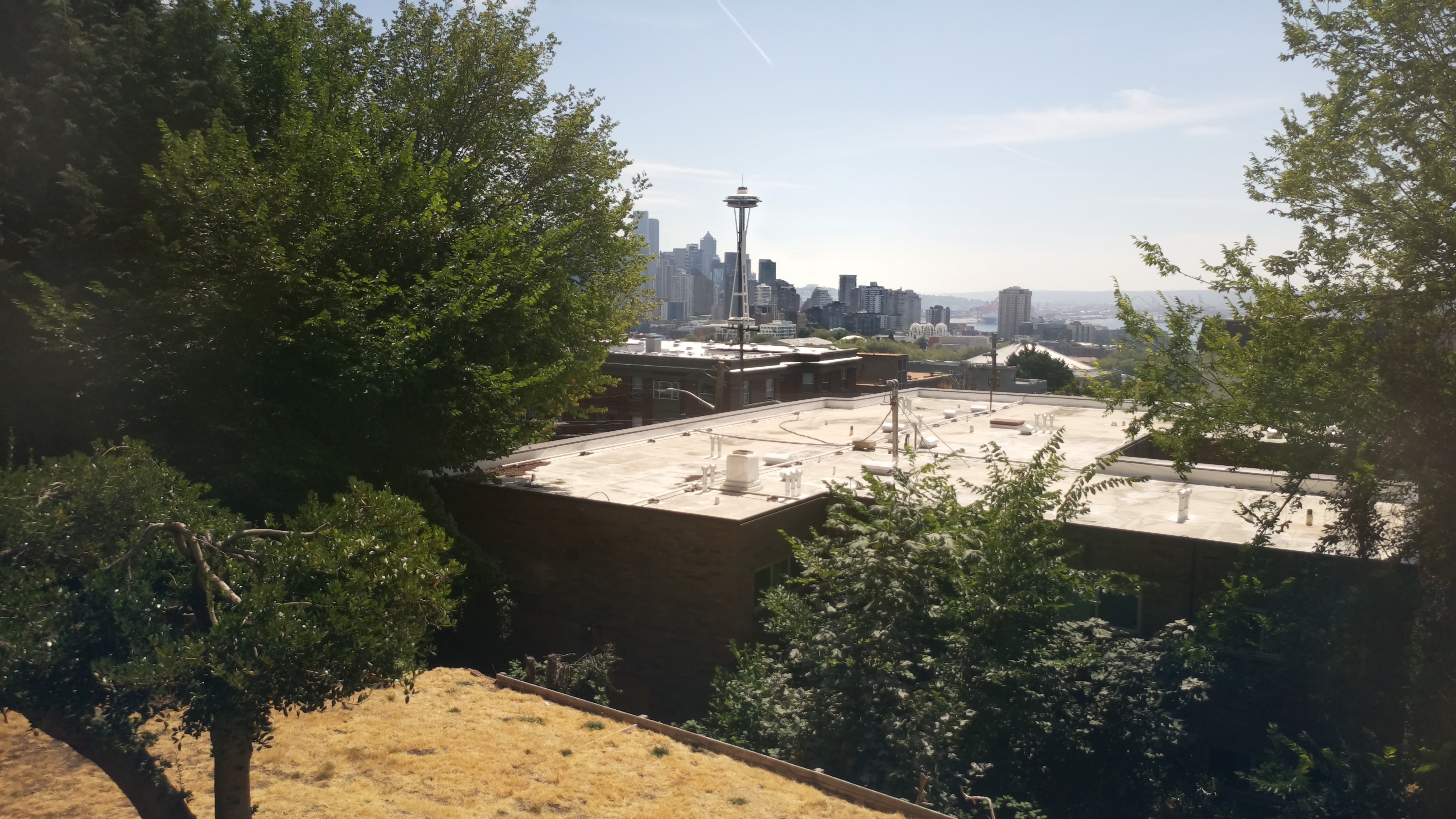 Mt. Rainier from Seattle — Saturday, August 8
